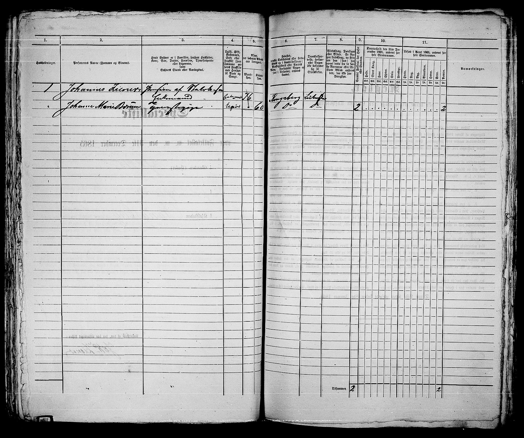 RA, 1865 census for Kongsberg/Kongsberg, 1865, p. 758