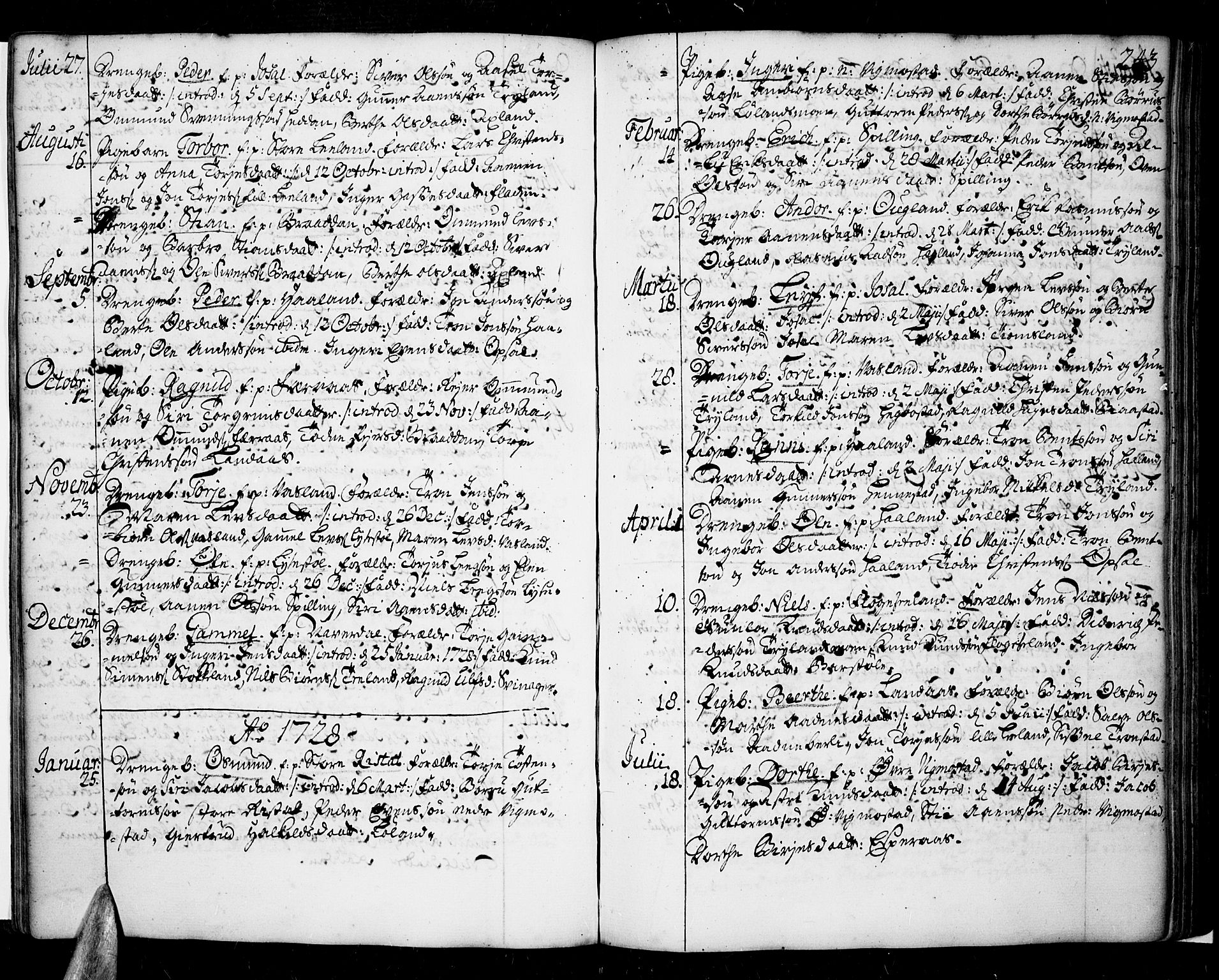 Sør-Audnedal sokneprestkontor, AV/SAK-1111-0039/F/Fa/Fab/L0001: Parish register (official) no. A 1 /3, 1726-1783, p. 243