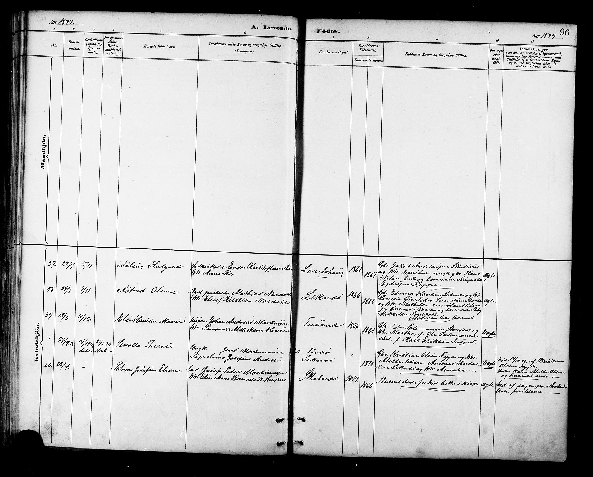 Ministerialprotokoller, klokkerbøker og fødselsregistre - Nordland, AV/SAT-A-1459/881/L1167: Parish register (copy) no. 881C04, 1886-1899, p. 96