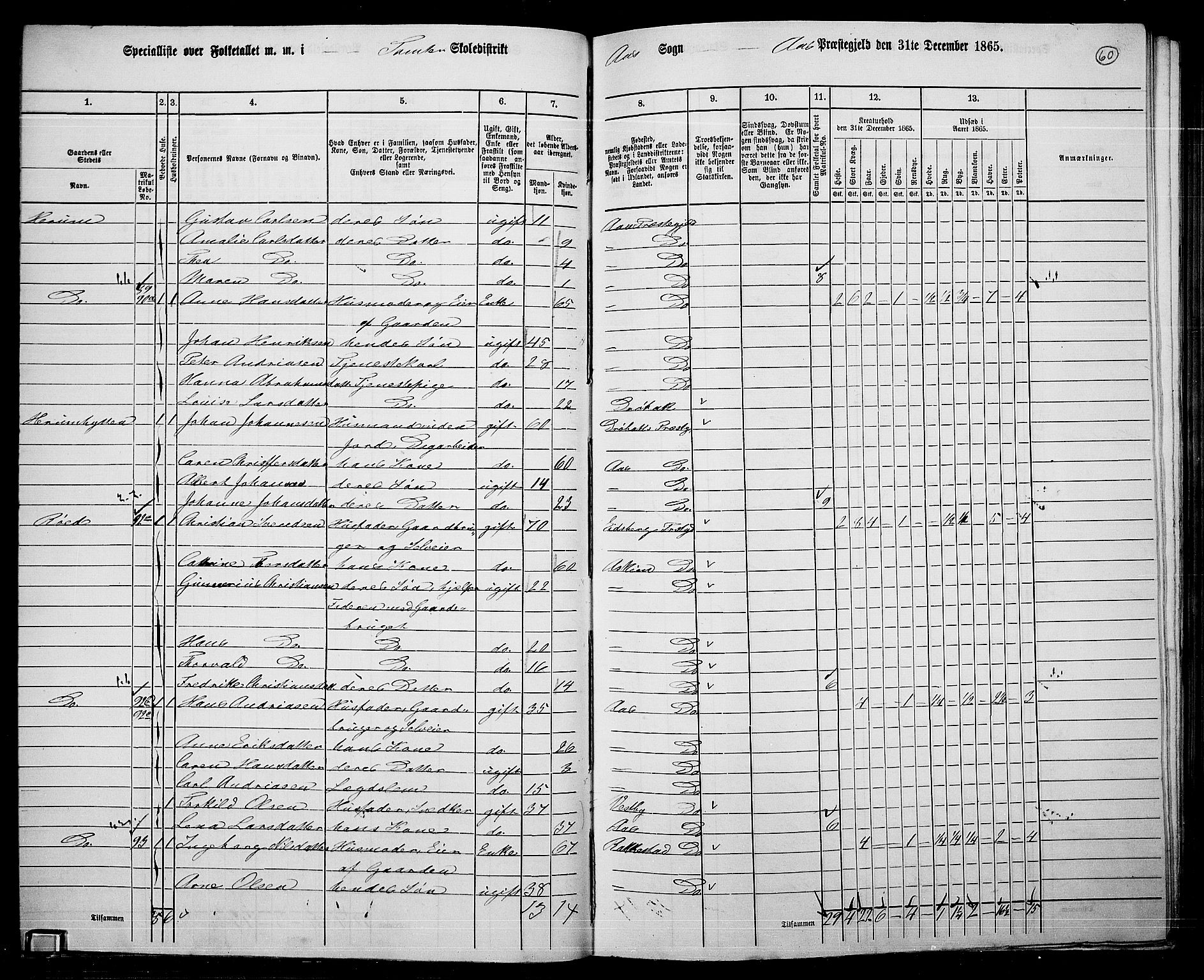 RA, 1865 census for Ås, 1865, p. 53