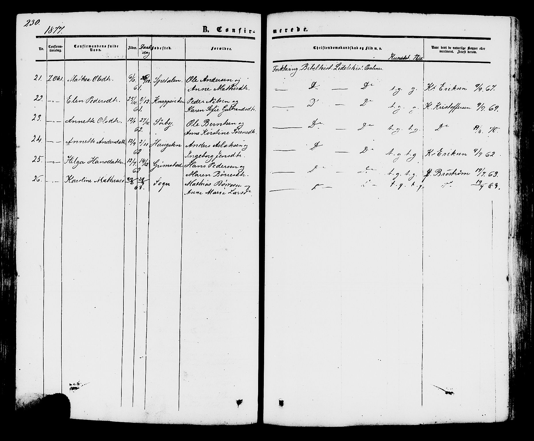 Råde prestekontor kirkebøker, AV/SAO-A-2009/F/Fa/L0006: Parish register (official) no. 6, 1854-1877, p. 230