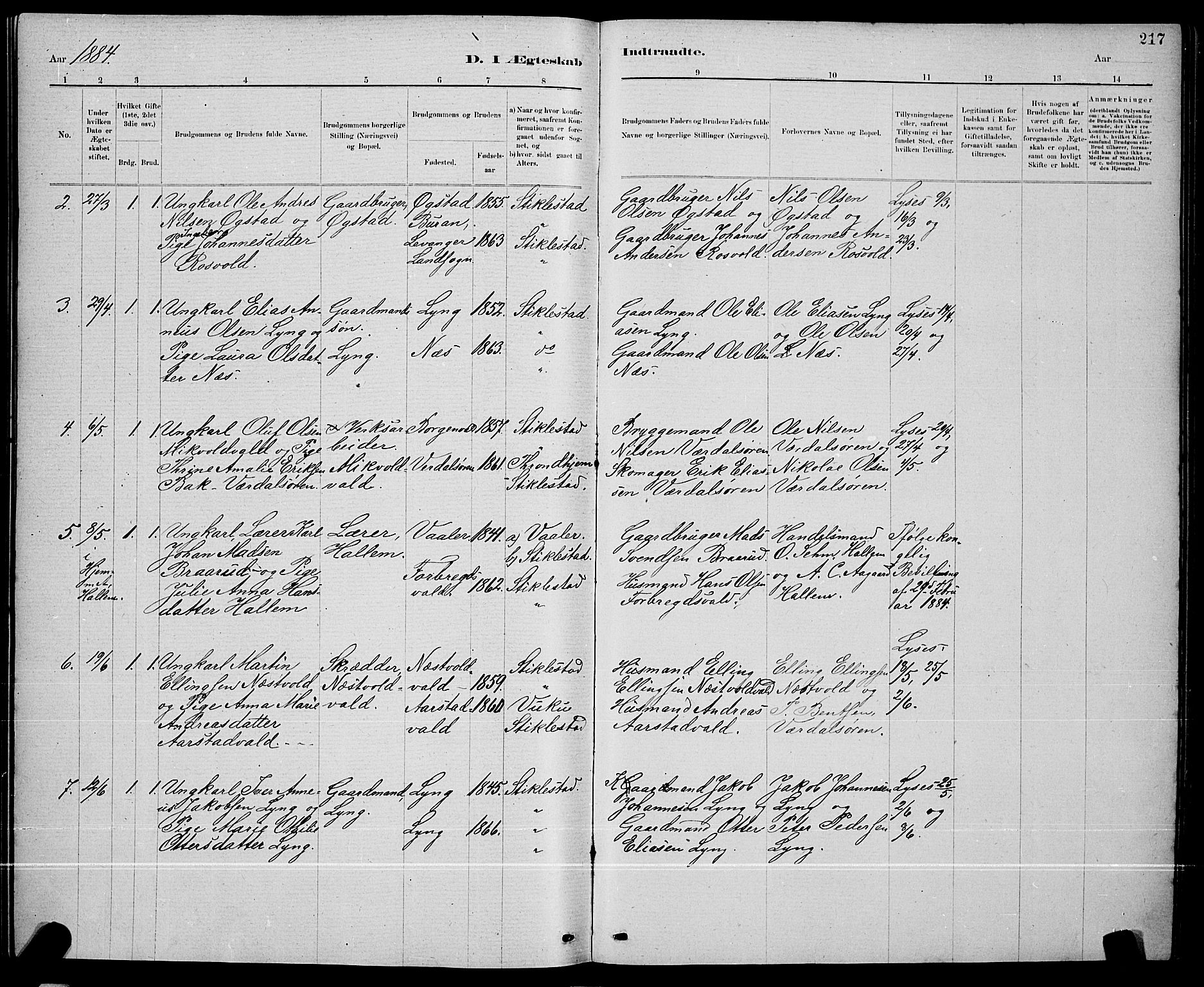 Ministerialprotokoller, klokkerbøker og fødselsregistre - Nord-Trøndelag, AV/SAT-A-1458/723/L0256: Parish register (copy) no. 723C04, 1879-1890, p. 217