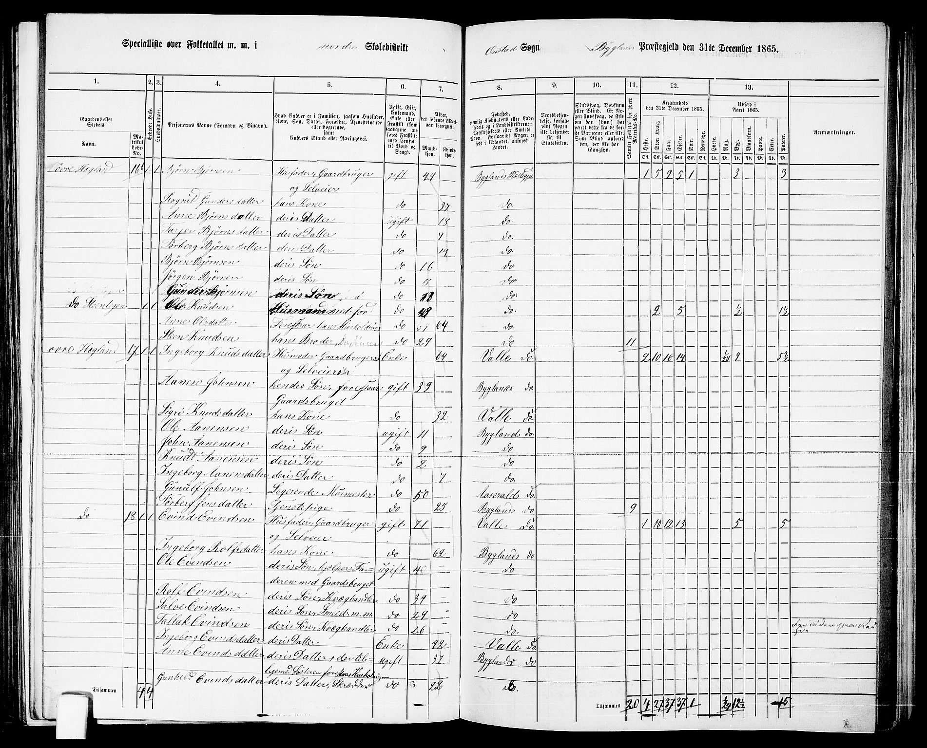 RA, 1865 census for Bygland, 1865, p. 10