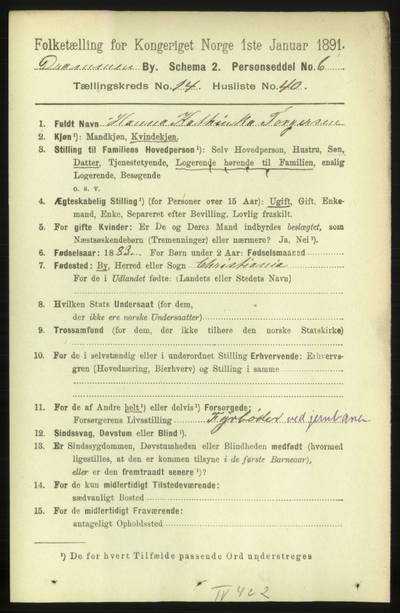 RA, 1891 census for 0602 Drammen, 1891, p. 10489