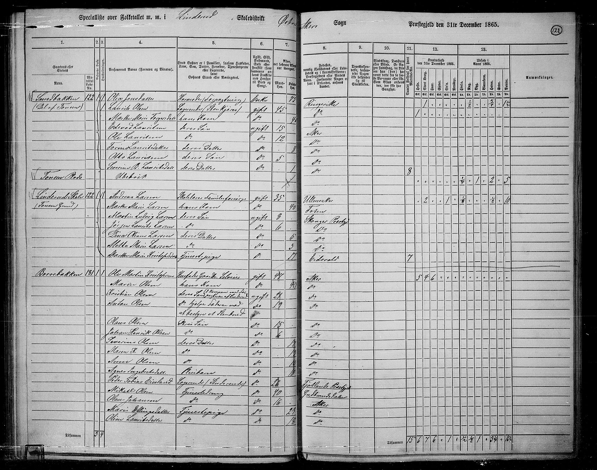 RA, 1865 census for Østre Aker, 1865, p. 115