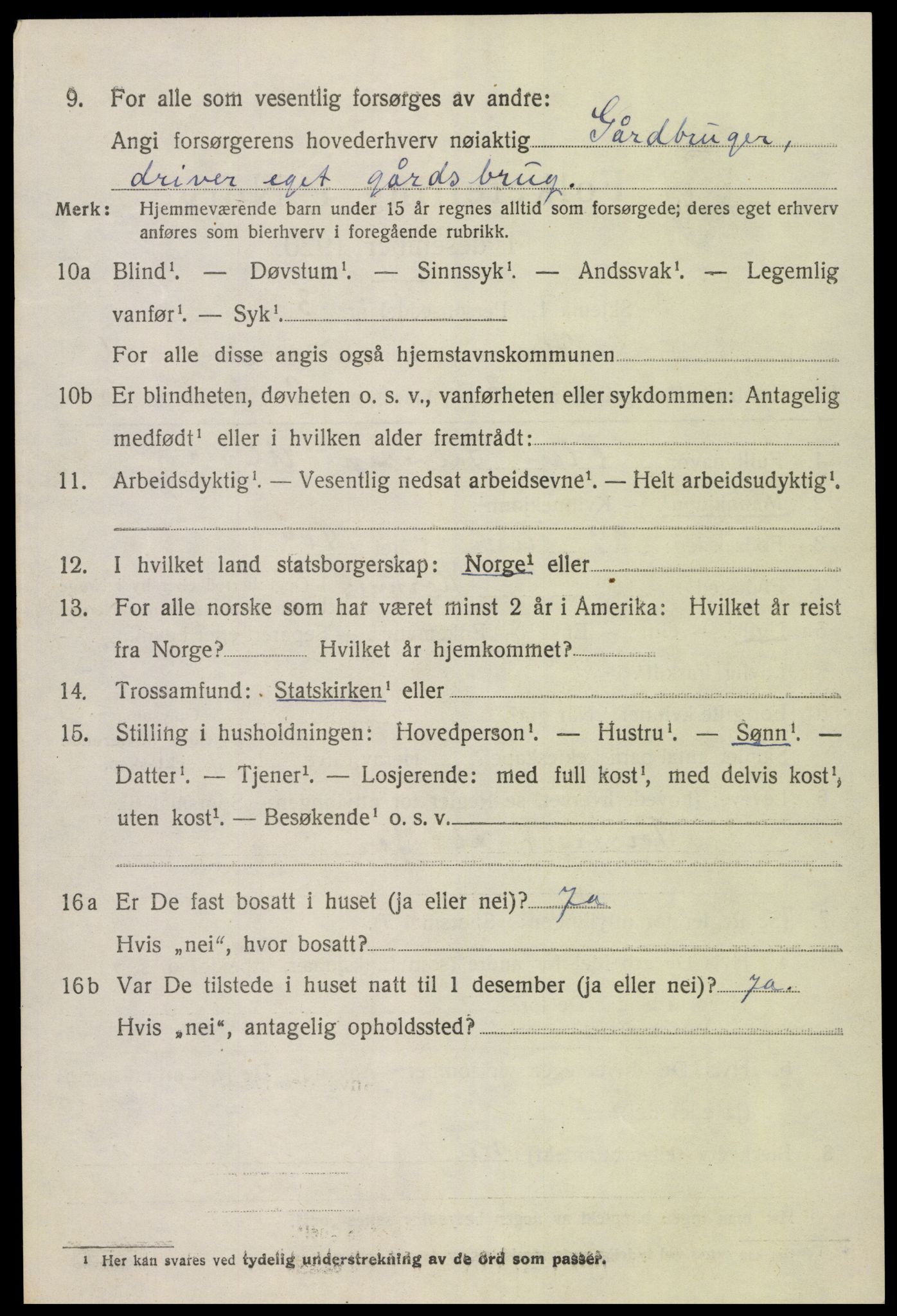 SAK, 1920 census for Hornnes, 1920, p. 1582