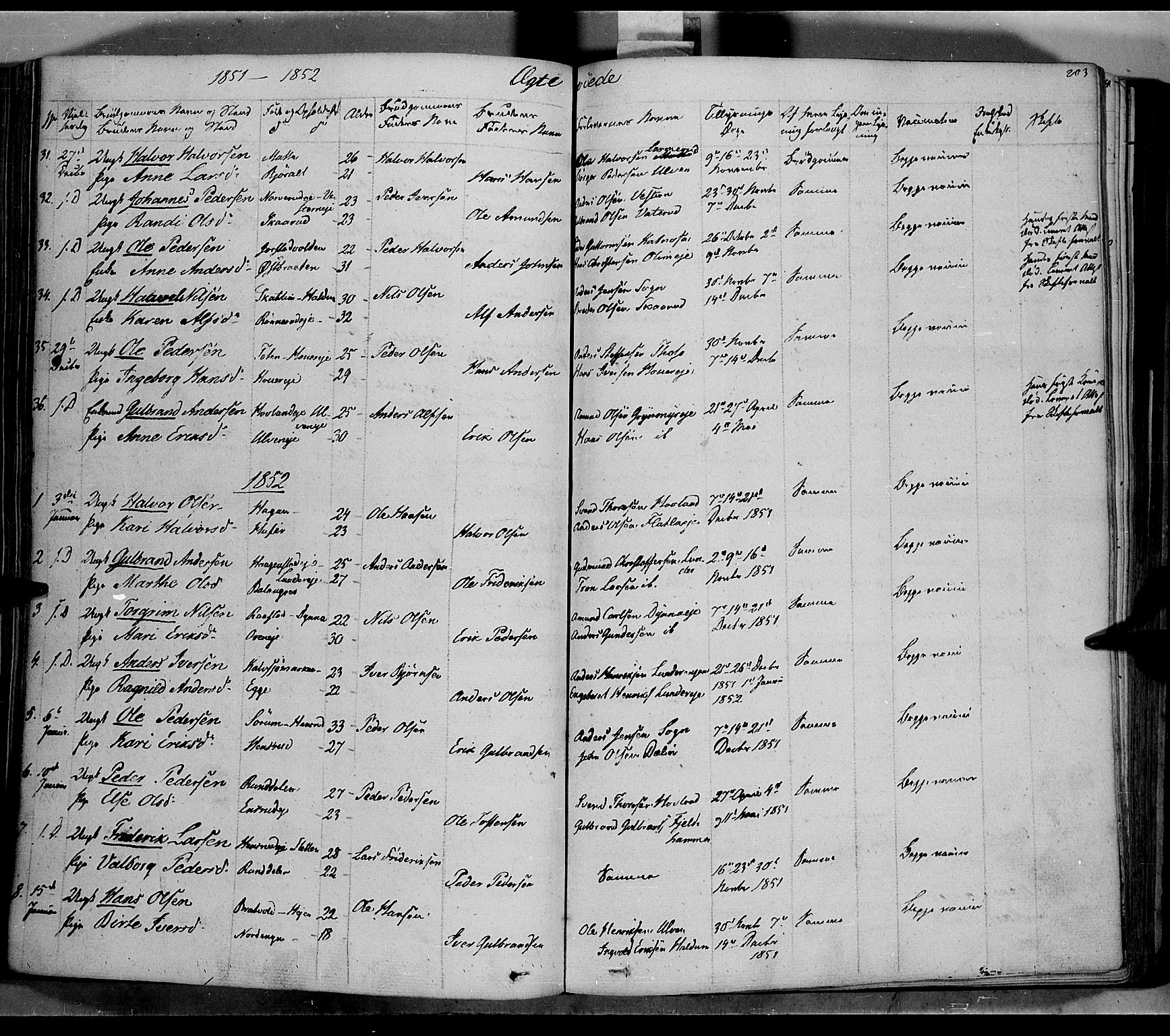 Jevnaker prestekontor, SAH/PREST-116/H/Ha/Haa/L0006: Parish register (official) no. 6, 1837-1857, p. 203