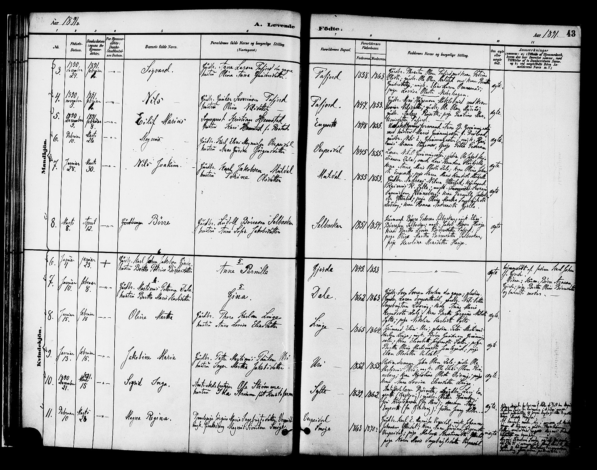 Ministerialprotokoller, klokkerbøker og fødselsregistre - Møre og Romsdal, AV/SAT-A-1454/519/L0255: Parish register (official) no. 519A14, 1884-1908, p. 43