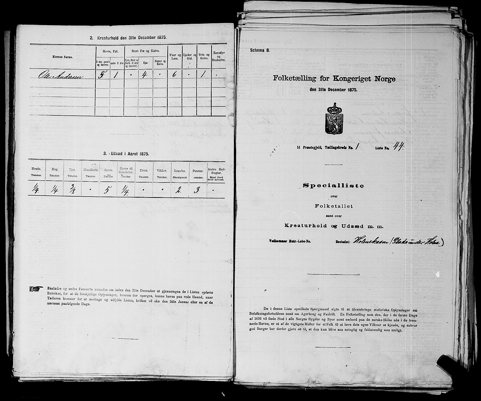 RA, 1875 census for 0117P Idd, 1875, p. 58