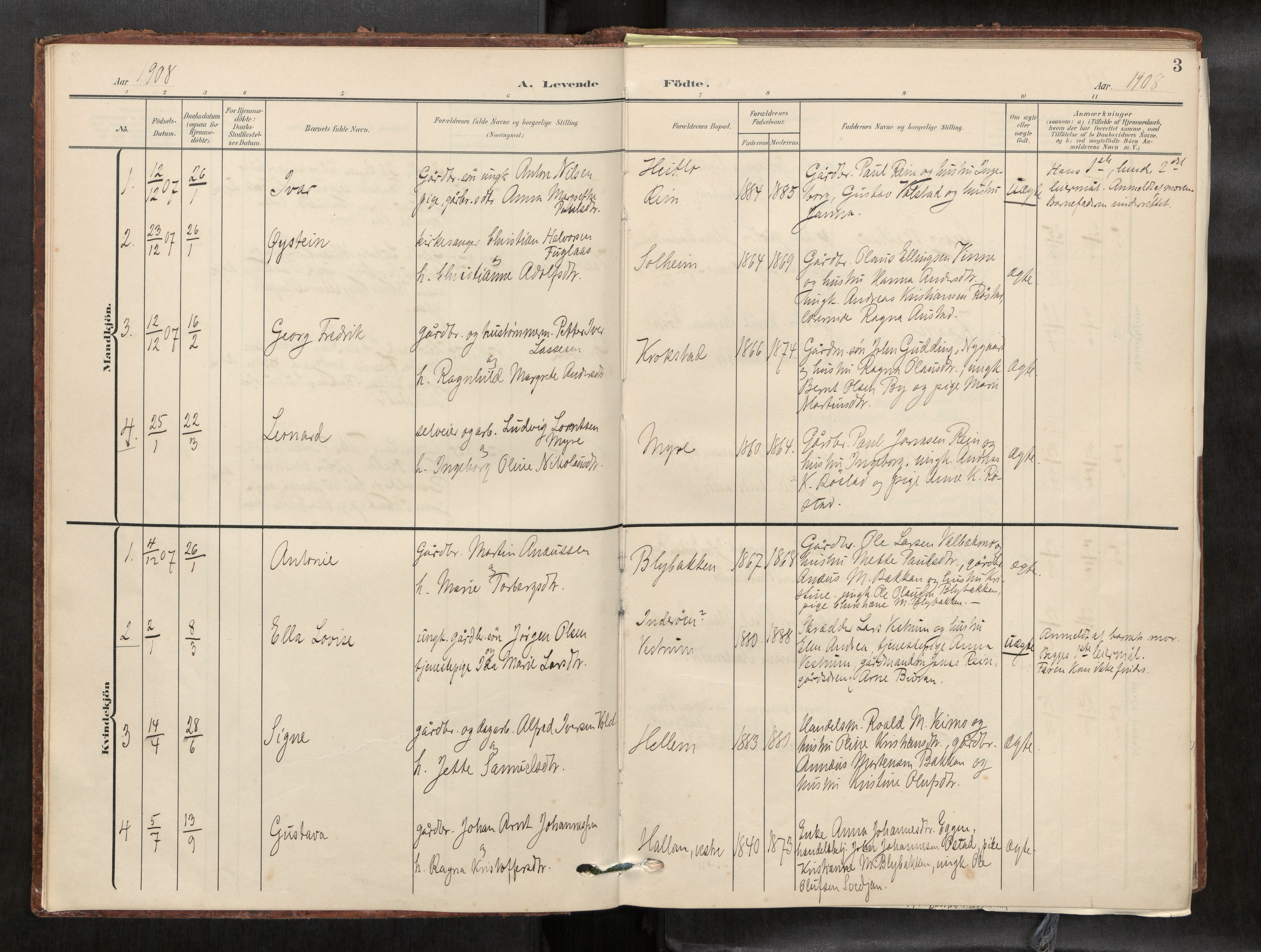 Verdal sokneprestkontor, SAT/A-1156/2/H/Haa/L0003: Parish register (official) no. 3, 1907-1921, p. 3