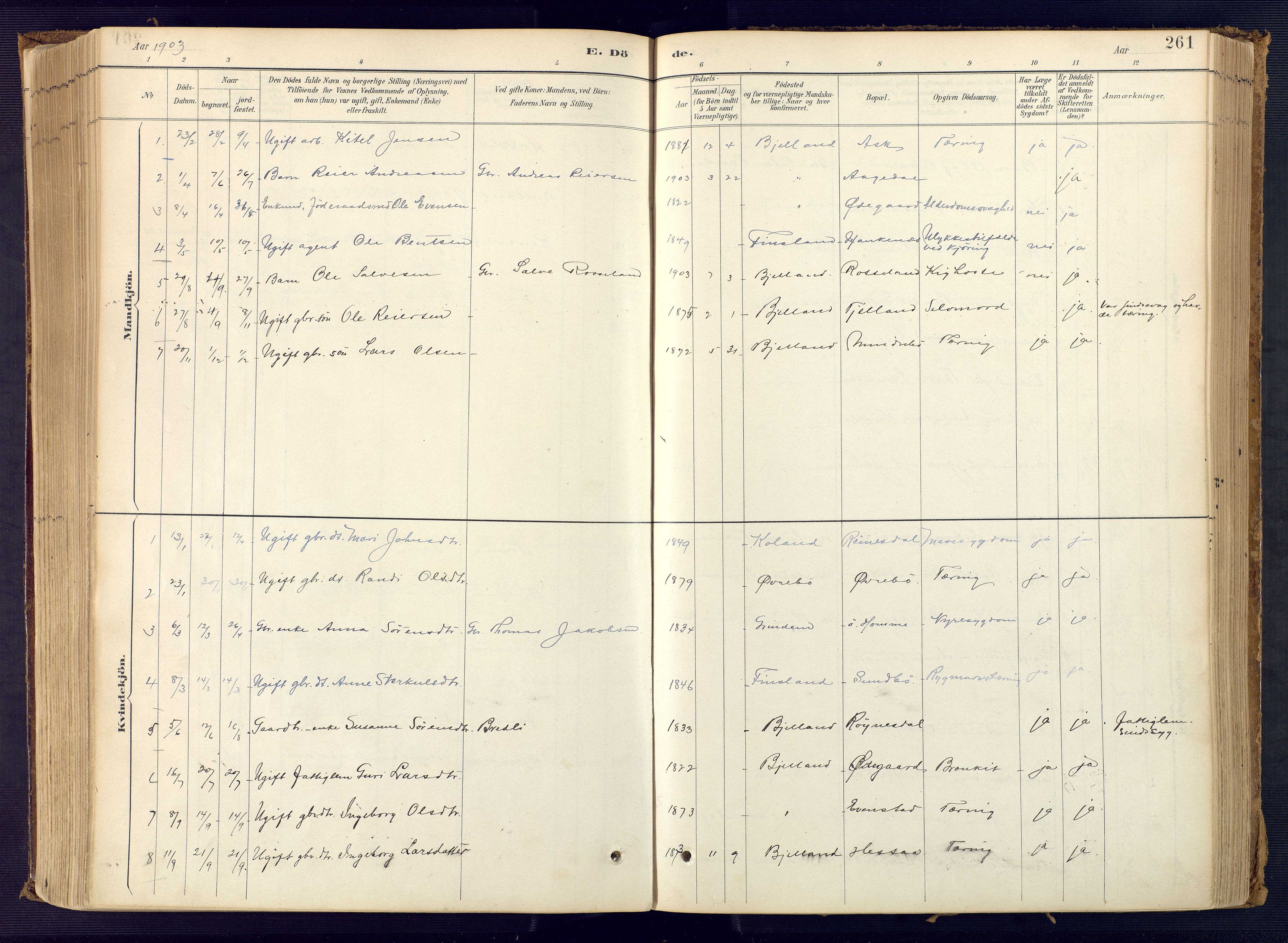 Bjelland sokneprestkontor, SAK/1111-0005/F/Fa/Faa/L0004: Parish register (official) no. A 4, 1887-1923, p. 261