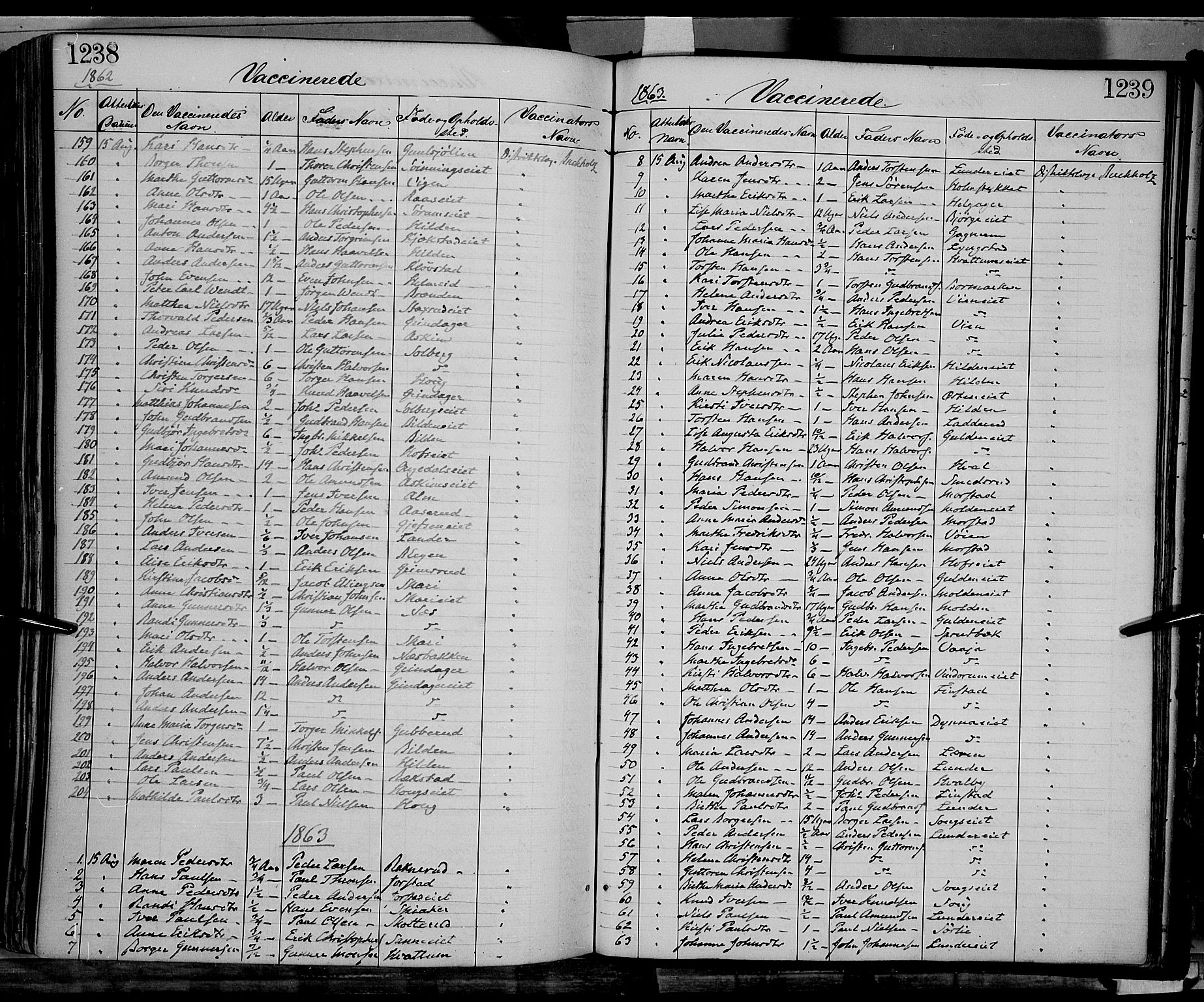 Gran prestekontor, SAH/PREST-112/H/Ha/Haa/L0012: Parish register (official) no. 12, 1856-1874, p. 1238-1239