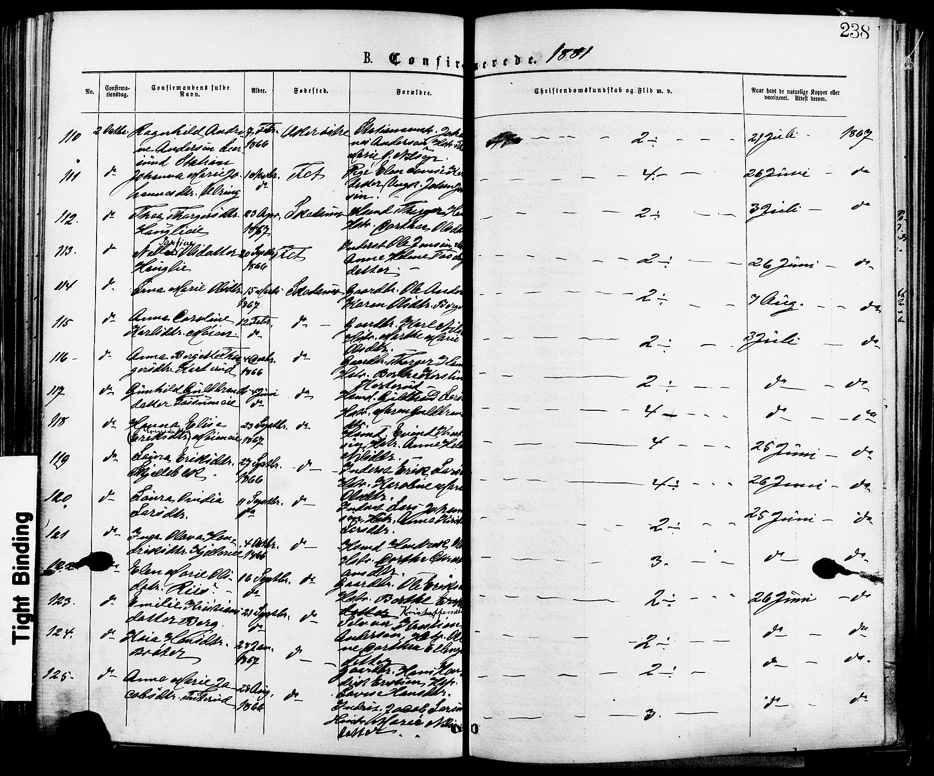 Skedsmo prestekontor Kirkebøker, AV/SAO-A-10033a/F/Fa/L0012: Parish register (official) no. I 12, 1876-1883, p. 238