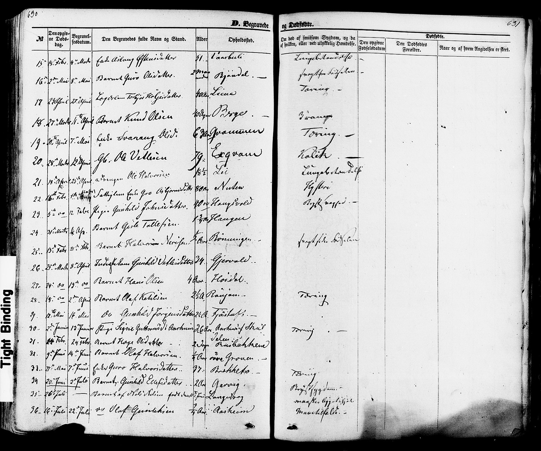 Seljord kirkebøker, SAKO/A-20/F/Fa/L0013: Parish register (official) no. I 13, 1866-1876, p. 630-631