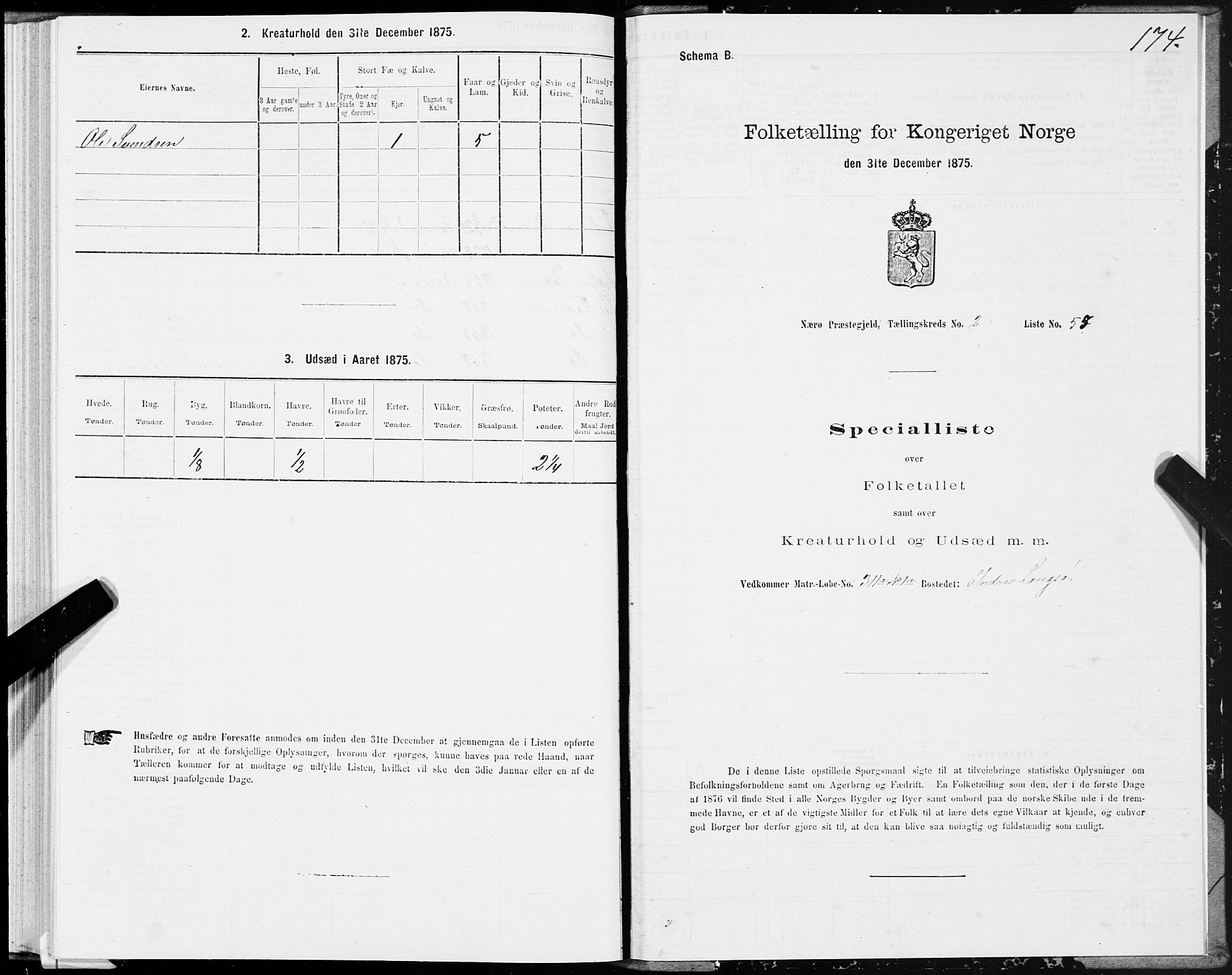SAT, 1875 census for 1751P Nærøy, 1875, p. 1174