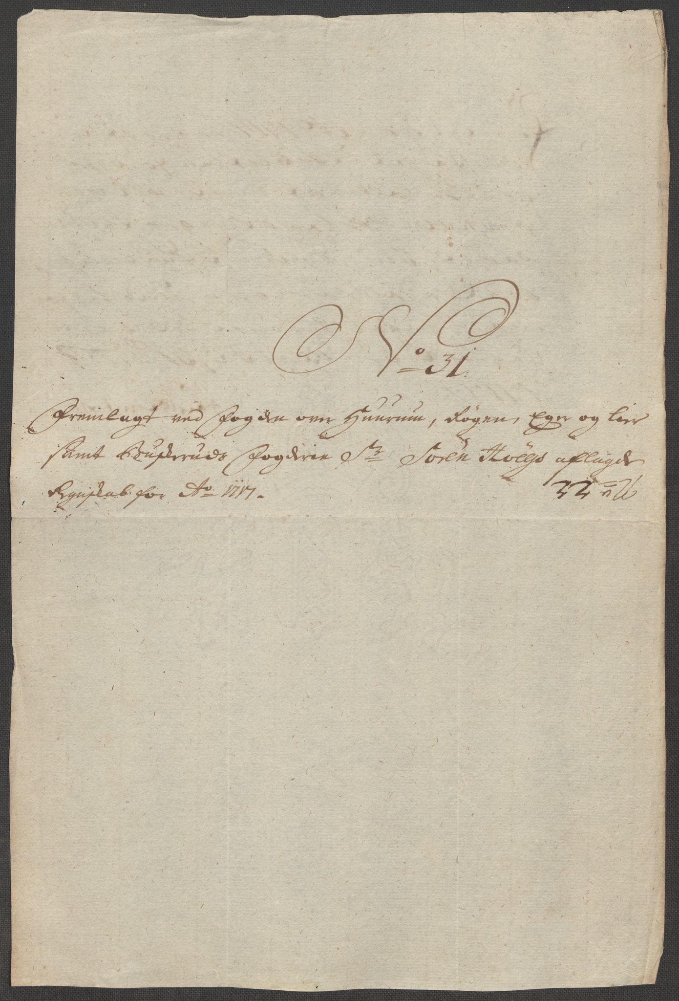 Rentekammeret inntil 1814, Reviderte regnskaper, Fogderegnskap, AV/RA-EA-4092/R31/L1711: Fogderegnskap Hurum, Røyken, Eiker, Lier og Buskerud, 1717, p. 308