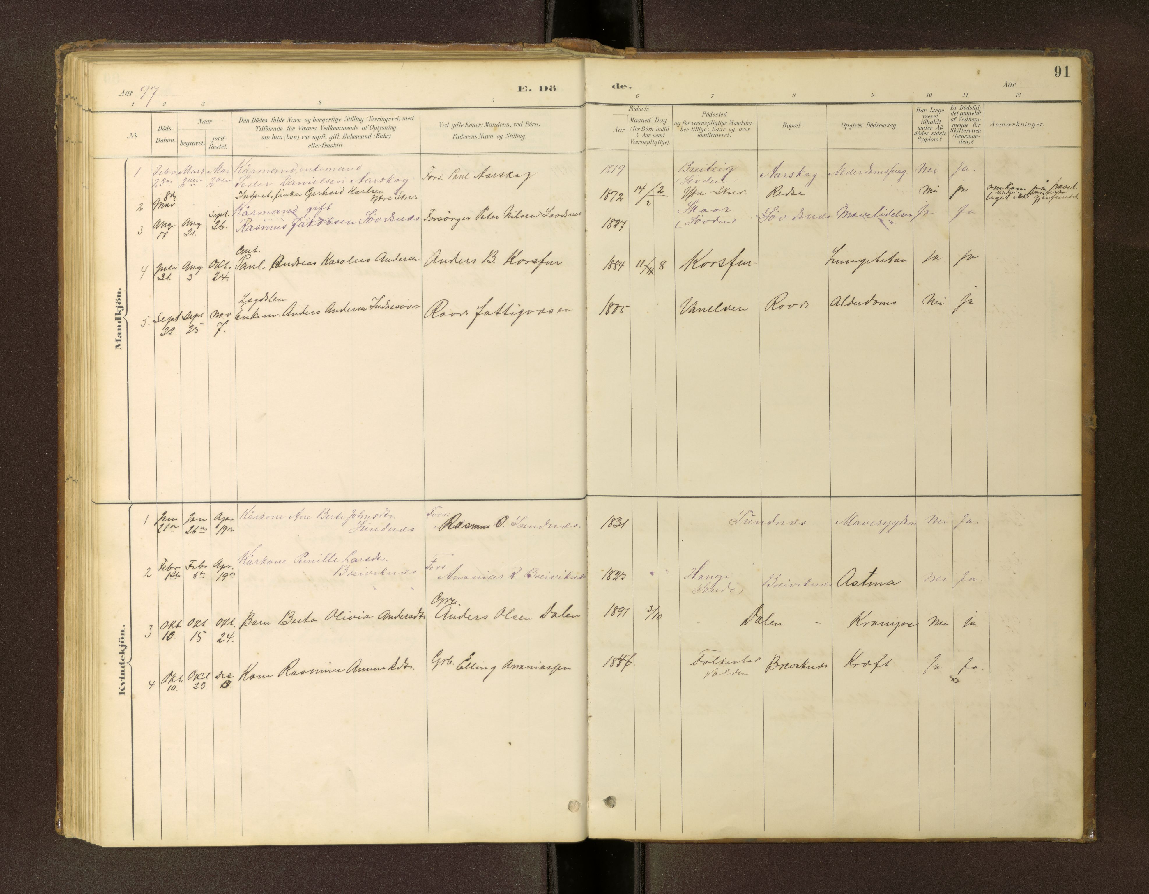 Ministerialprotokoller, klokkerbøker og fødselsregistre - Møre og Romsdal, SAT/A-1454/504/L0060: Parish register (copy) no. 504C02, 1884-1903, p. 91