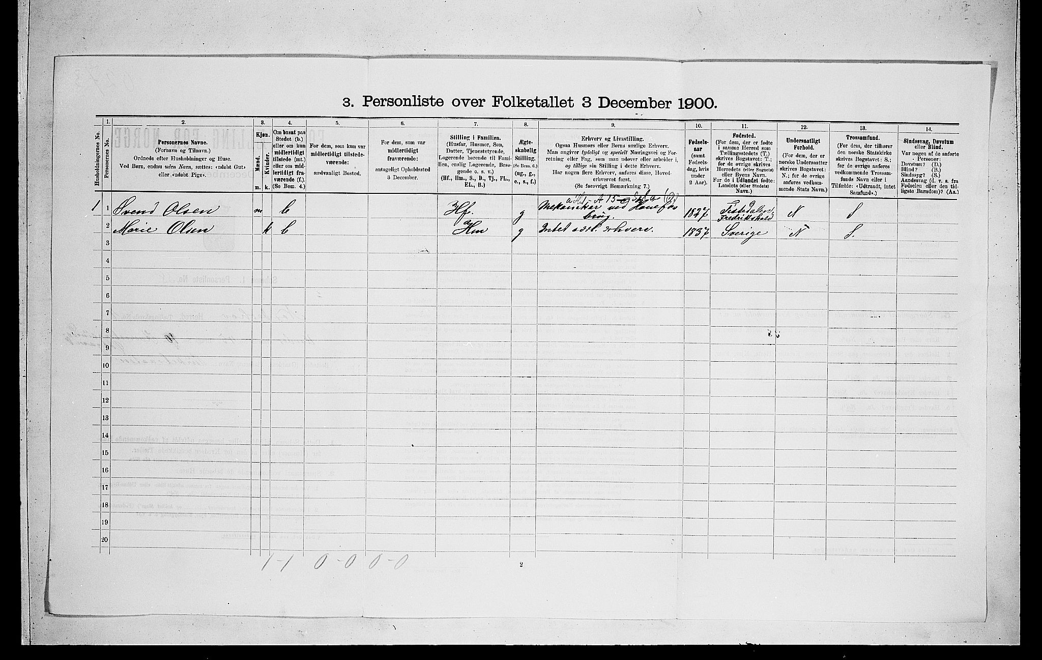 RA, 1900 census for Norderhov, 1900, p. 1005