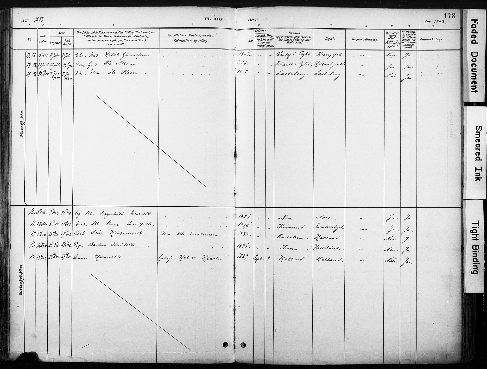 Nore kirkebøker, SAKO/A-238/F/Fb/L0002: Parish register (official) no. II 2, 1886-1906, p. 173
