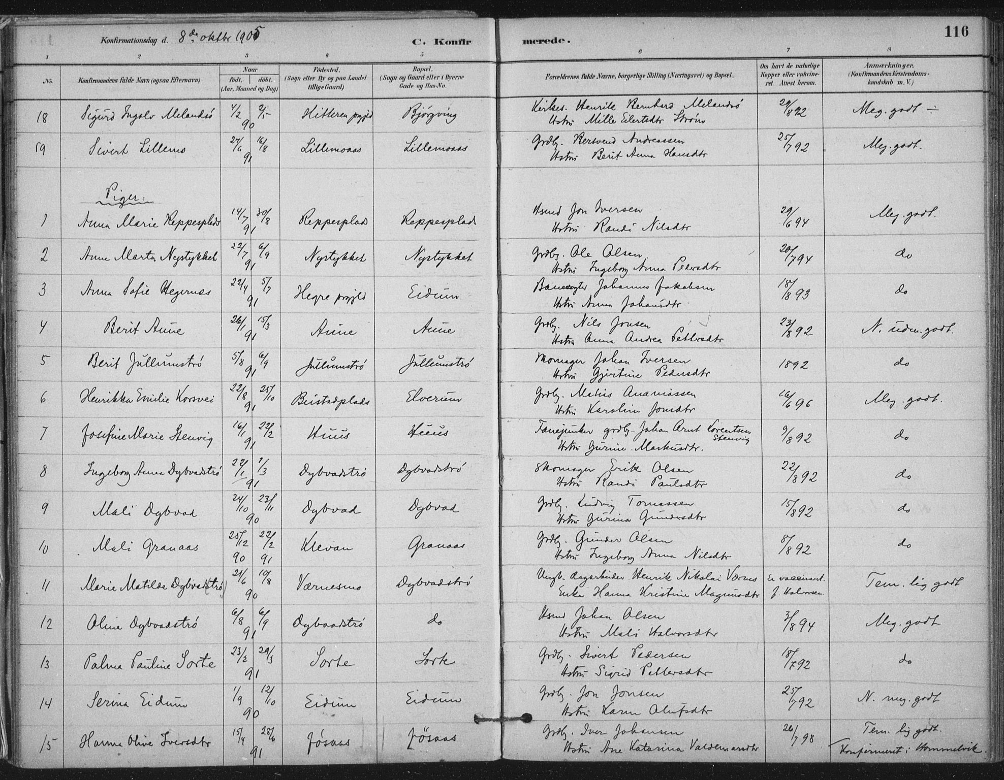 Ministerialprotokoller, klokkerbøker og fødselsregistre - Nord-Trøndelag, AV/SAT-A-1458/710/L0095: Parish register (official) no. 710A01, 1880-1914, p. 116