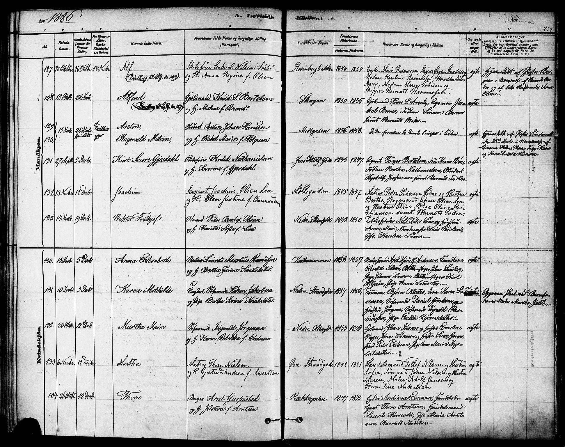 Domkirken sokneprestkontor, AV/SAST-A-101812/001/30/30BA/L0026: Parish register (official) no. A 25, 1878-1889, p. 237