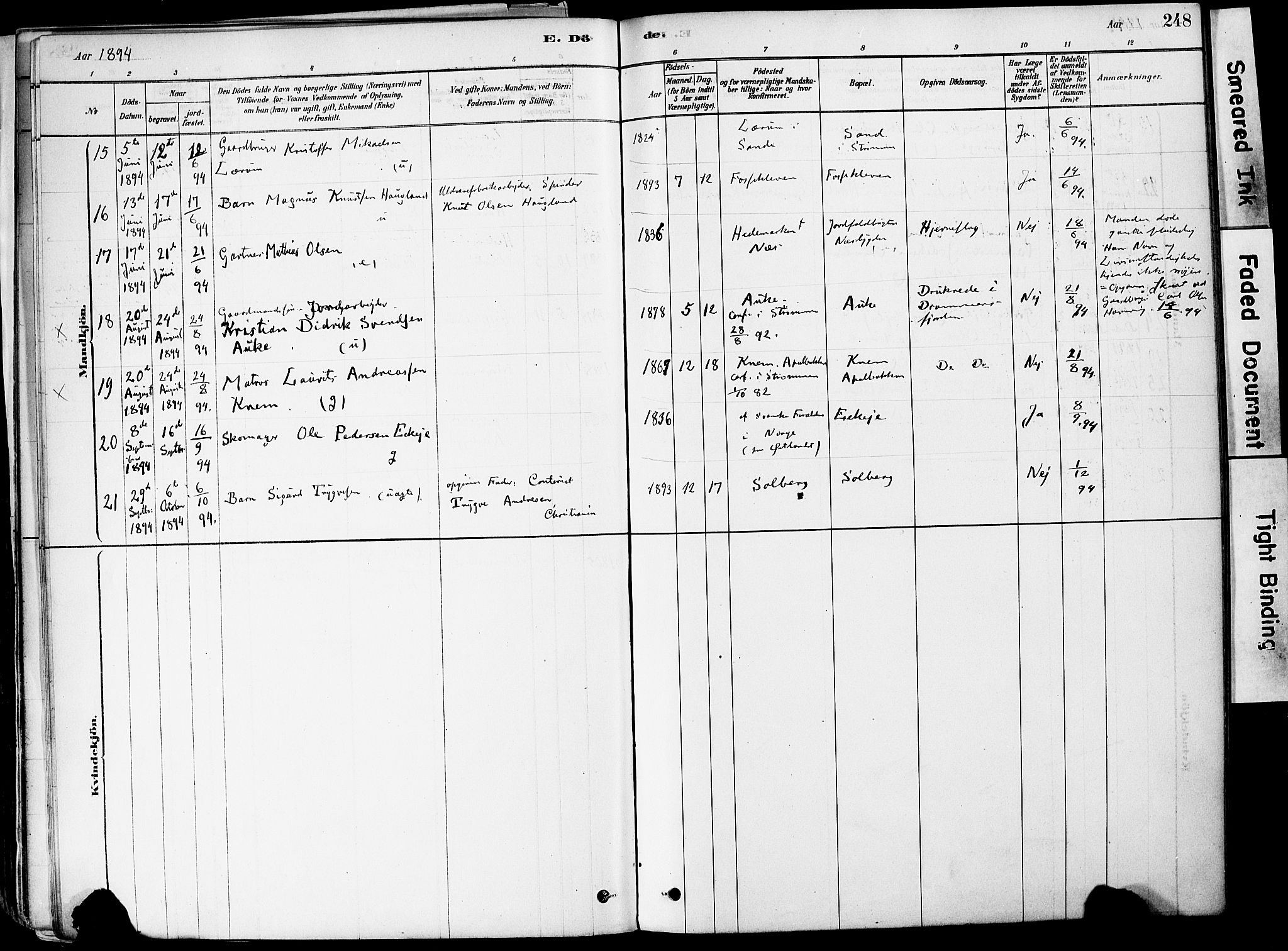 Strømm kirkebøker, AV/SAKO-A-322/F/Fa/L0004: Parish register (official) no. I 4, 1878-1899, p. 248