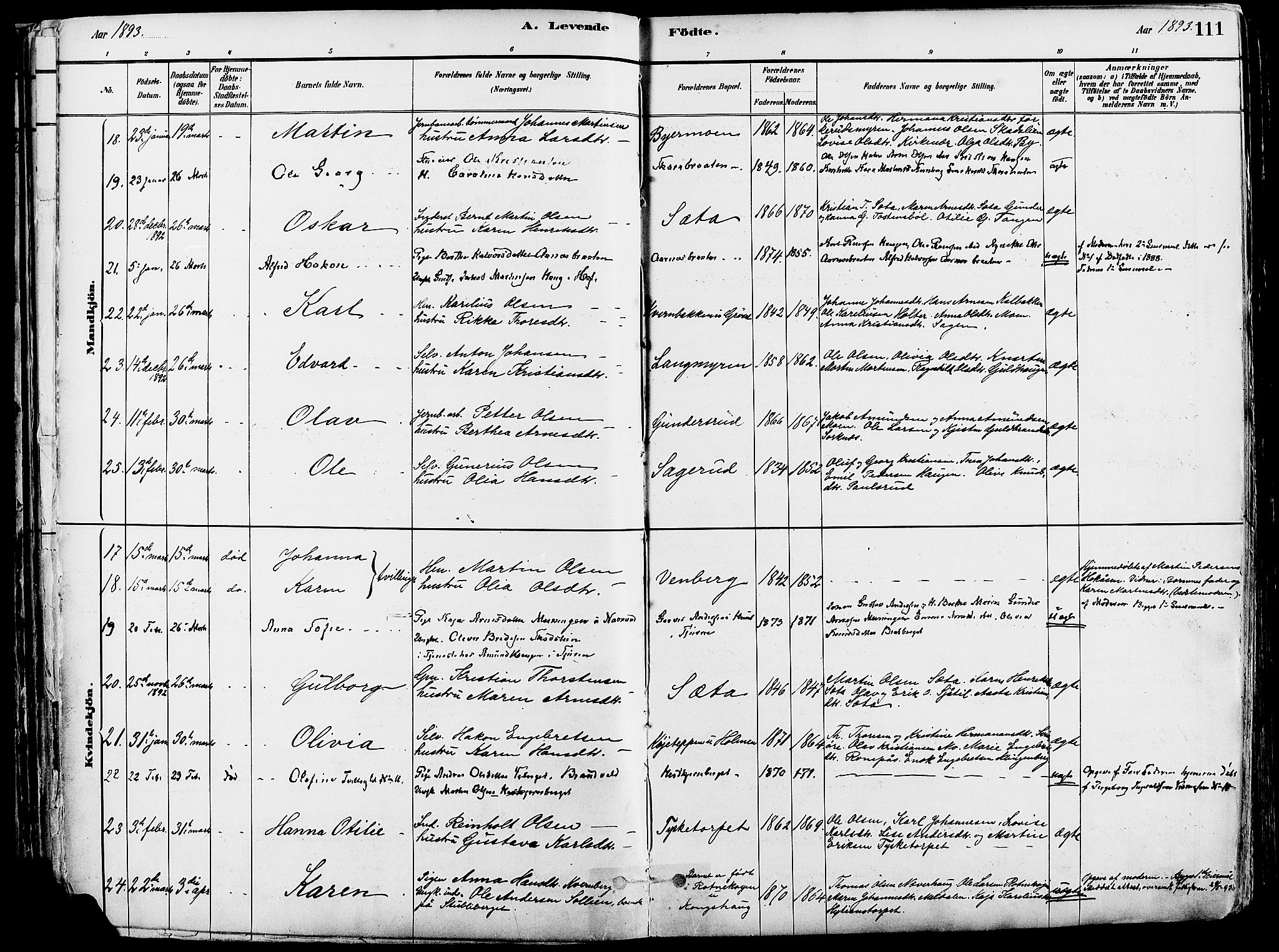 Grue prestekontor, AV/SAH-PREST-036/H/Ha/Haa/L0012: Parish register (official) no. 12, 1881-1897, p. 111