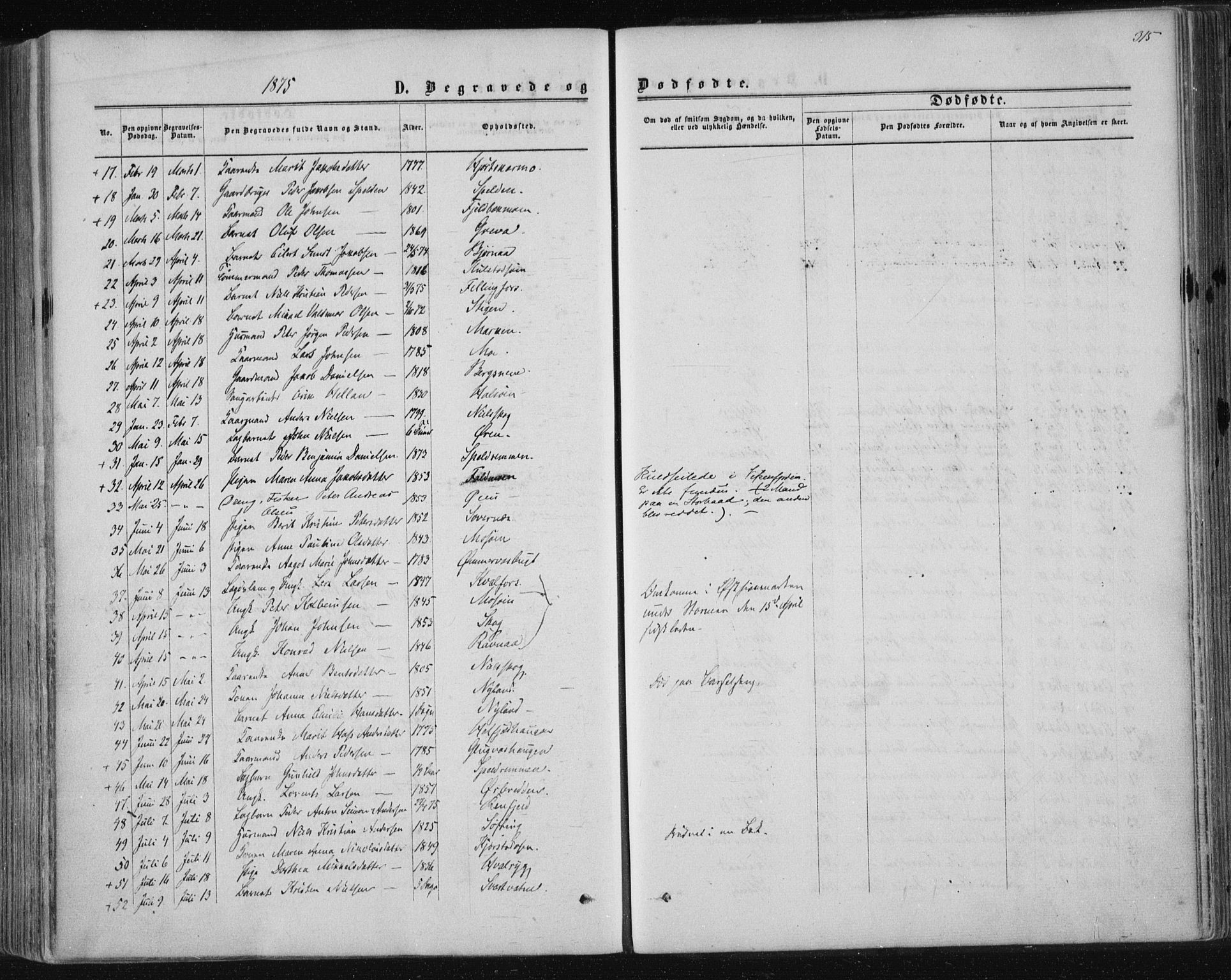Ministerialprotokoller, klokkerbøker og fødselsregistre - Nordland, SAT/A-1459/820/L0294: Parish register (official) no. 820A15, 1866-1879, p. 315