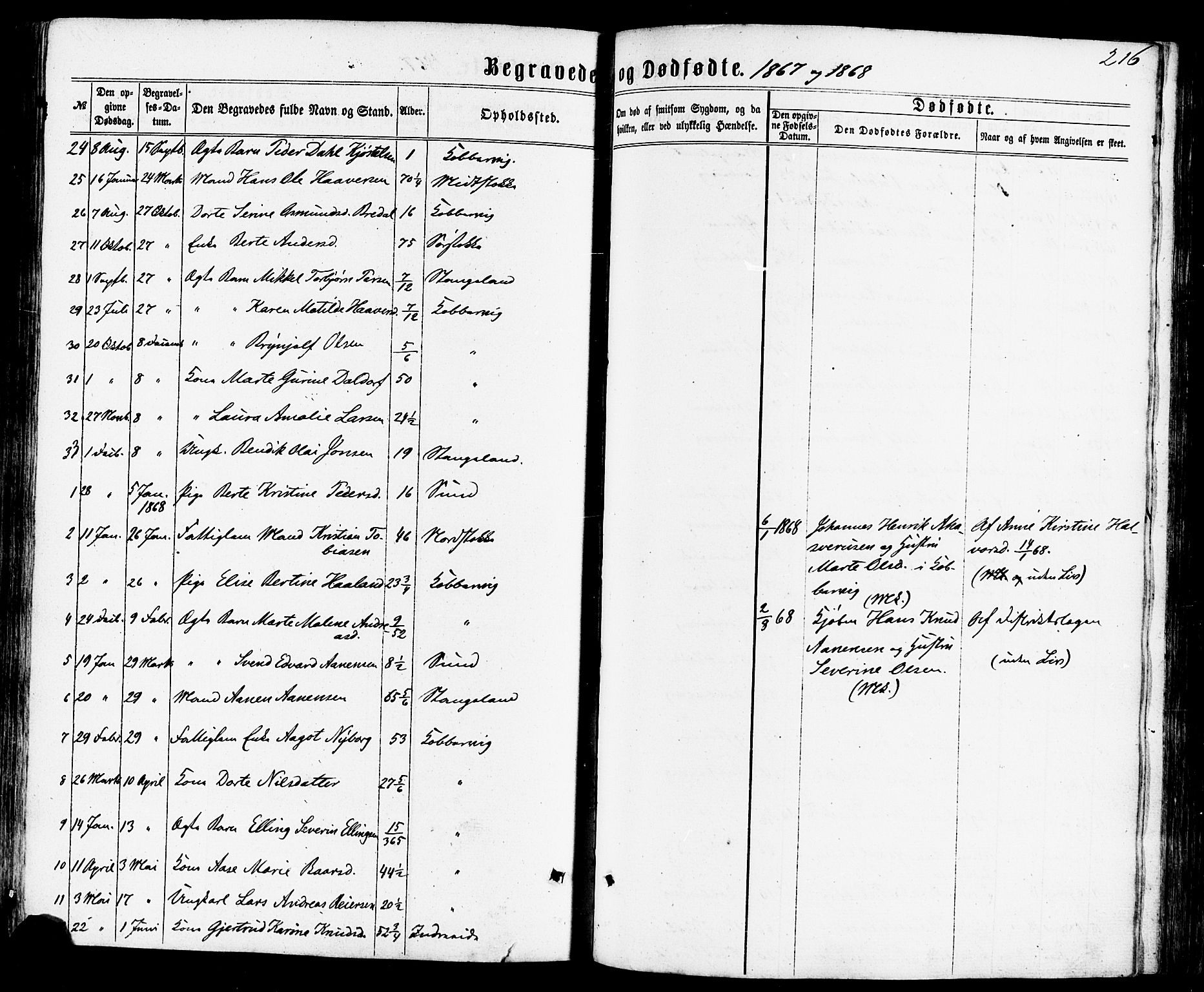 Avaldsnes sokneprestkontor, SAST/A -101851/H/Ha/Haa/L0011: Parish register (official) no. A 11, 1861-1880, p. 216