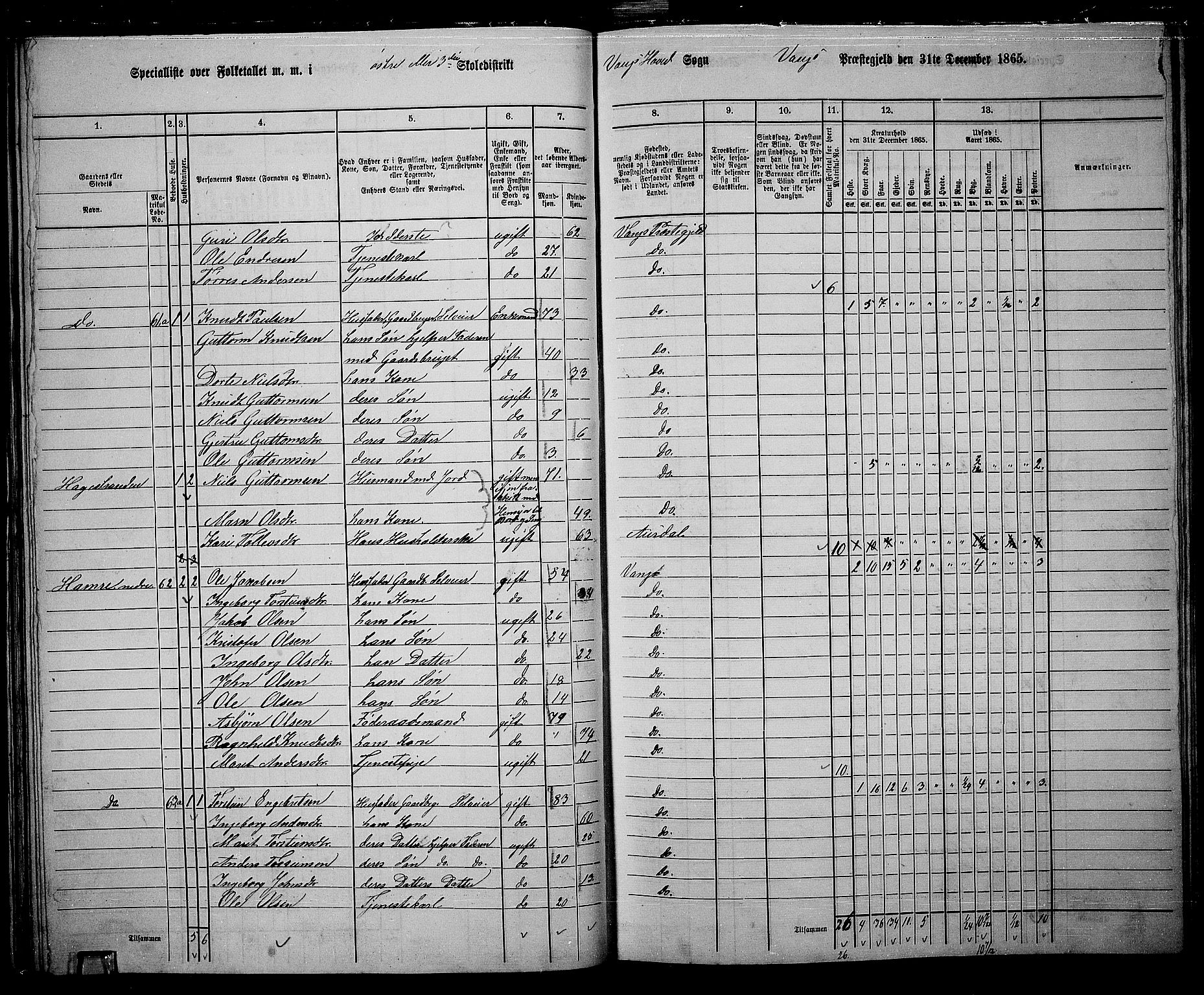 RA, 1865 census for Vang, 1865, p. 50