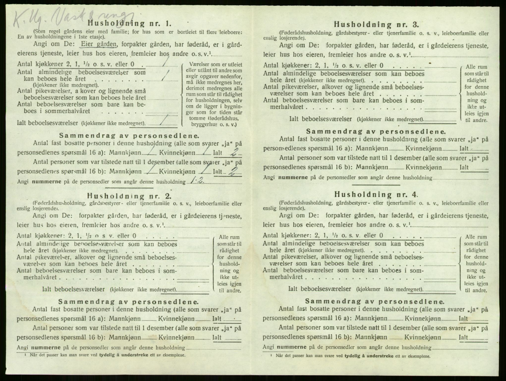 SAKO, 1920 census for Nøtterøy, 1920, p. 268