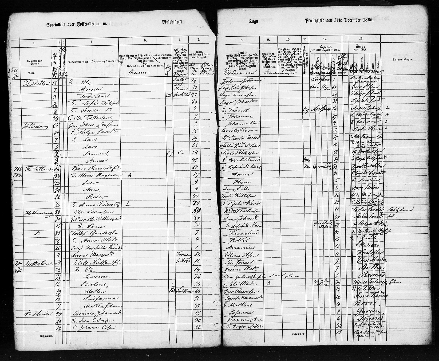 SAST, Census 1865 (copy) for Hjelmeland, 1865, p. 5