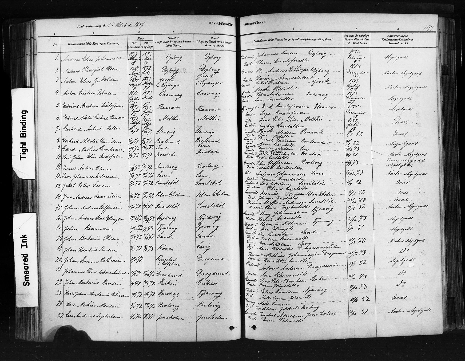 Ministerialprotokoller, klokkerbøker og fødselsregistre - Møre og Romsdal, SAT/A-1454/507/L0073: Parish register (official) no. 507A08, 1878-1904, p. 194