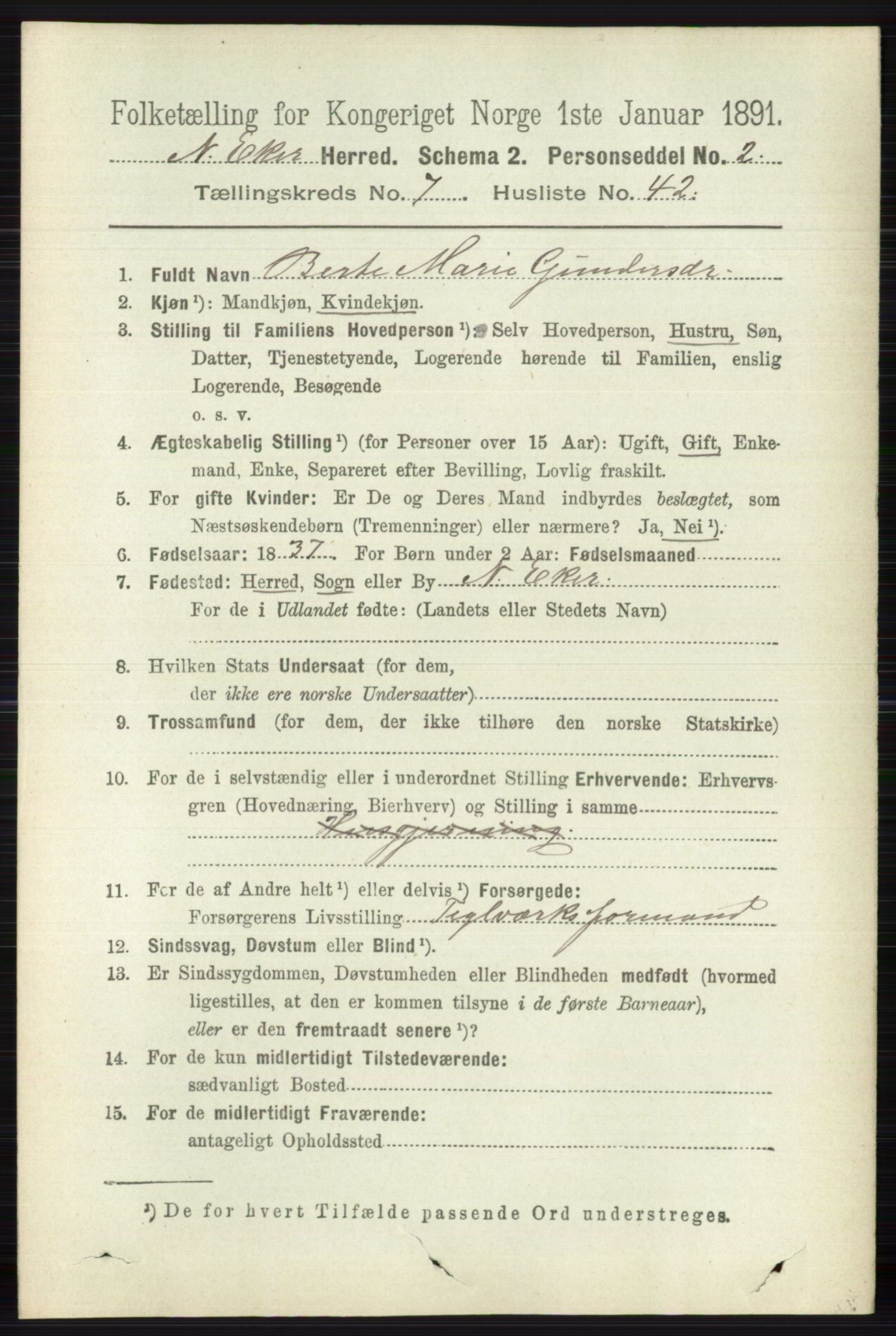 RA, 1891 census for 0625 Nedre Eiker, 1891, p. 3658