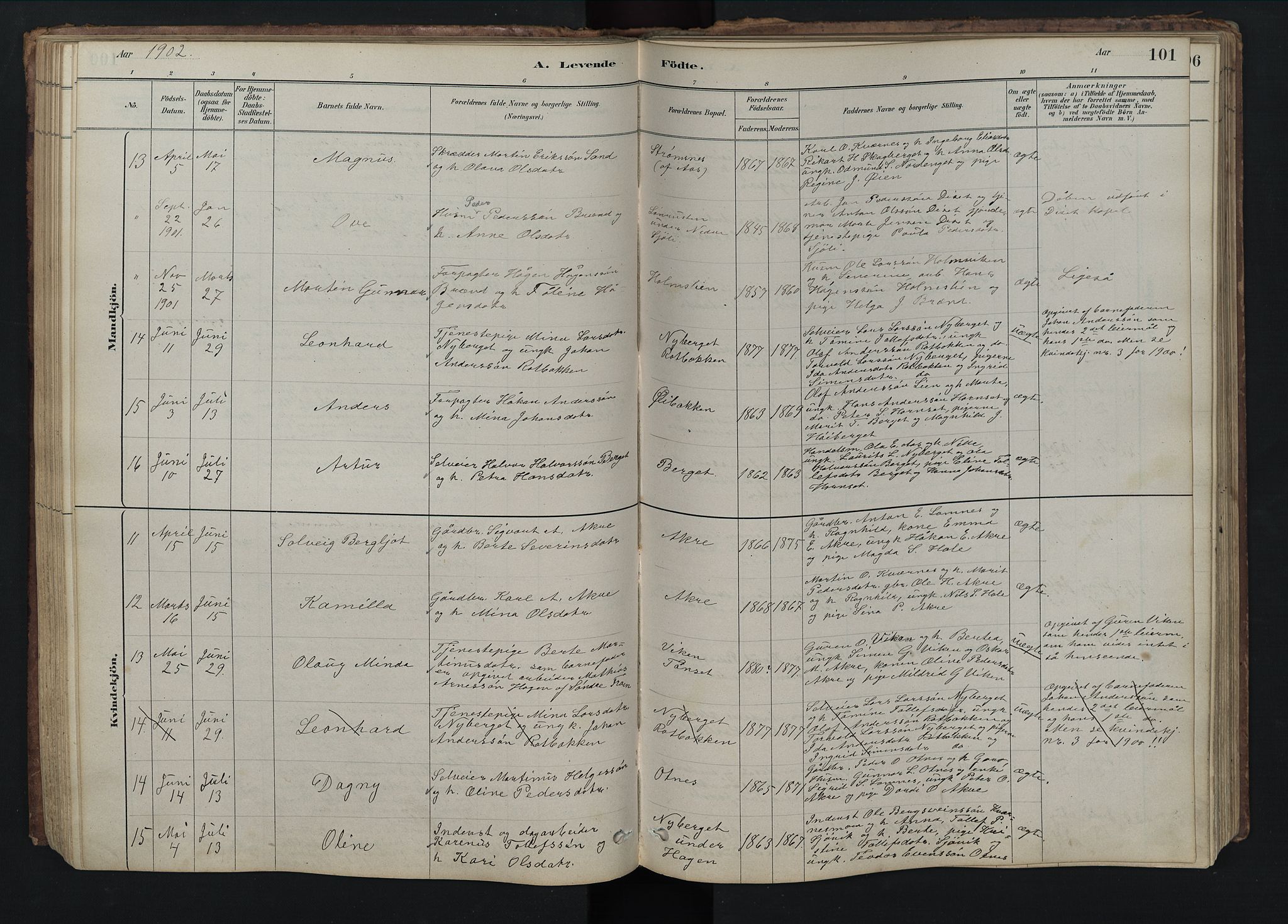 Rendalen prestekontor, AV/SAH-PREST-054/H/Ha/Hab/L0009: Parish register (copy) no. 9, 1879-1902, p. 101