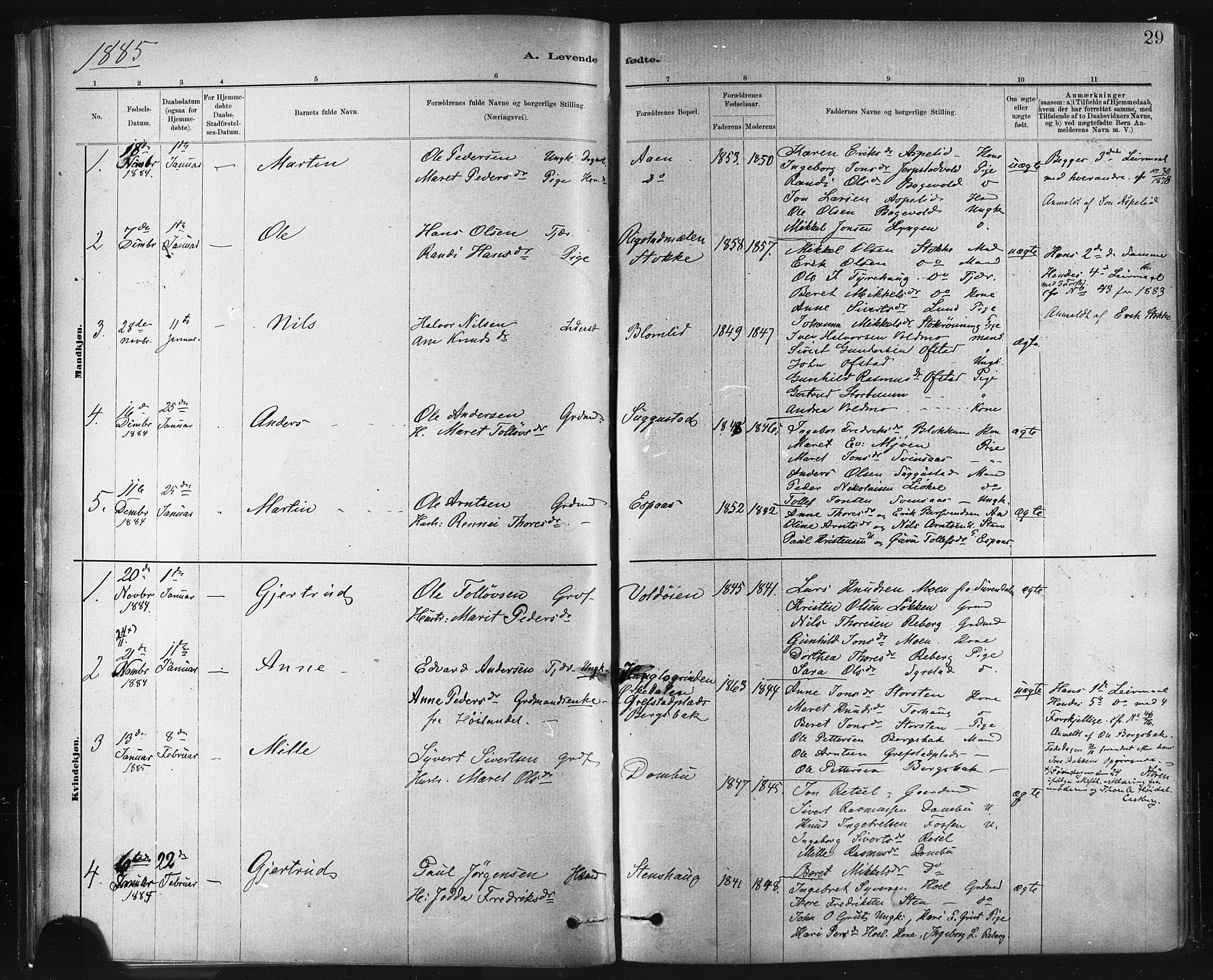 Ministerialprotokoller, klokkerbøker og fødselsregistre - Sør-Trøndelag, SAT/A-1456/672/L0857: Parish register (official) no. 672A09, 1882-1893, p. 29