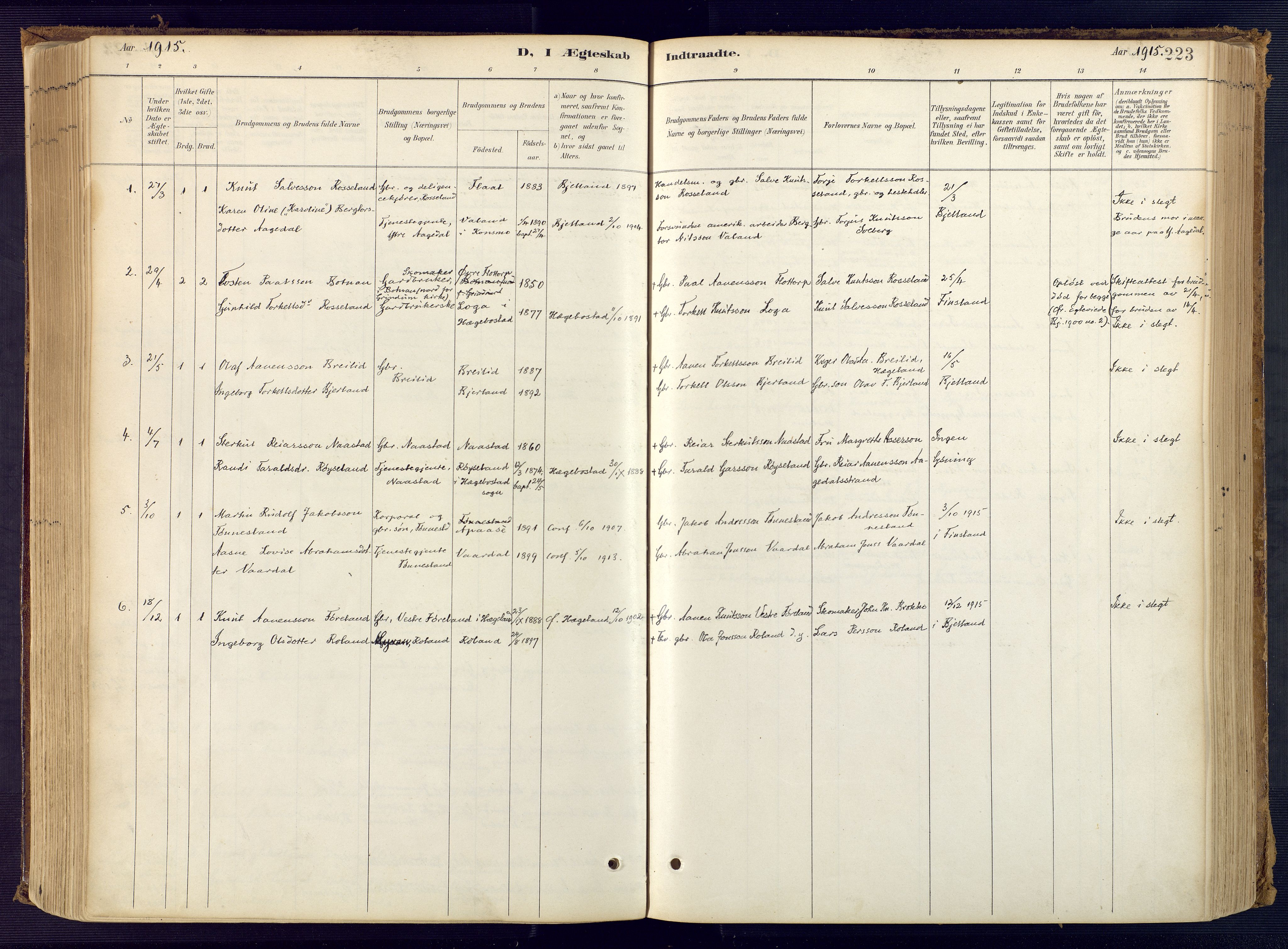 Bjelland sokneprestkontor, SAK/1111-0005/F/Fa/Faa/L0004: Parish register (official) no. A 4, 1887-1923, p. 223