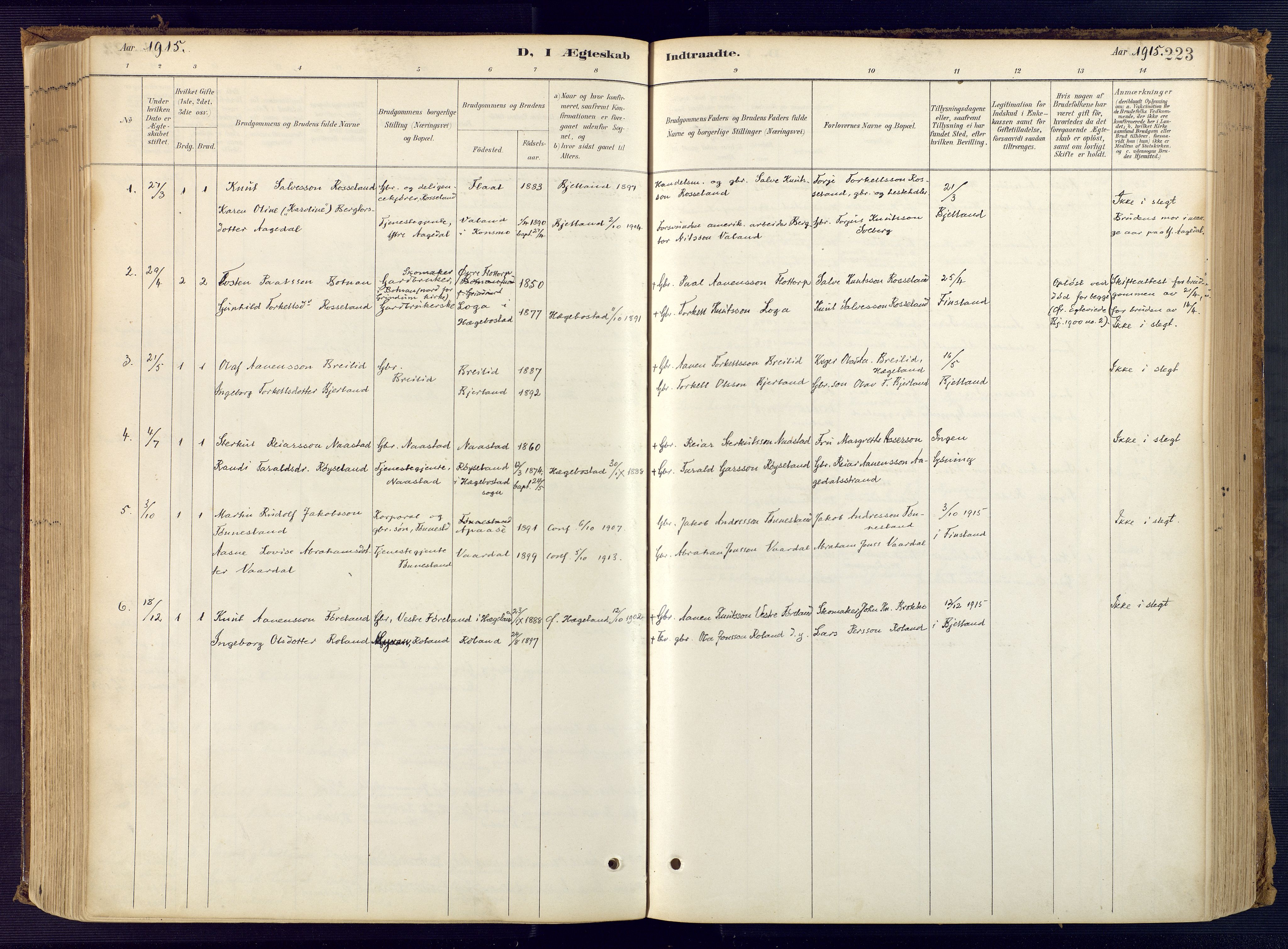 Bjelland sokneprestkontor, AV/SAK-1111-0005/F/Fa/Faa/L0004: Parish register (official) no. A 4, 1887-1923, p. 223