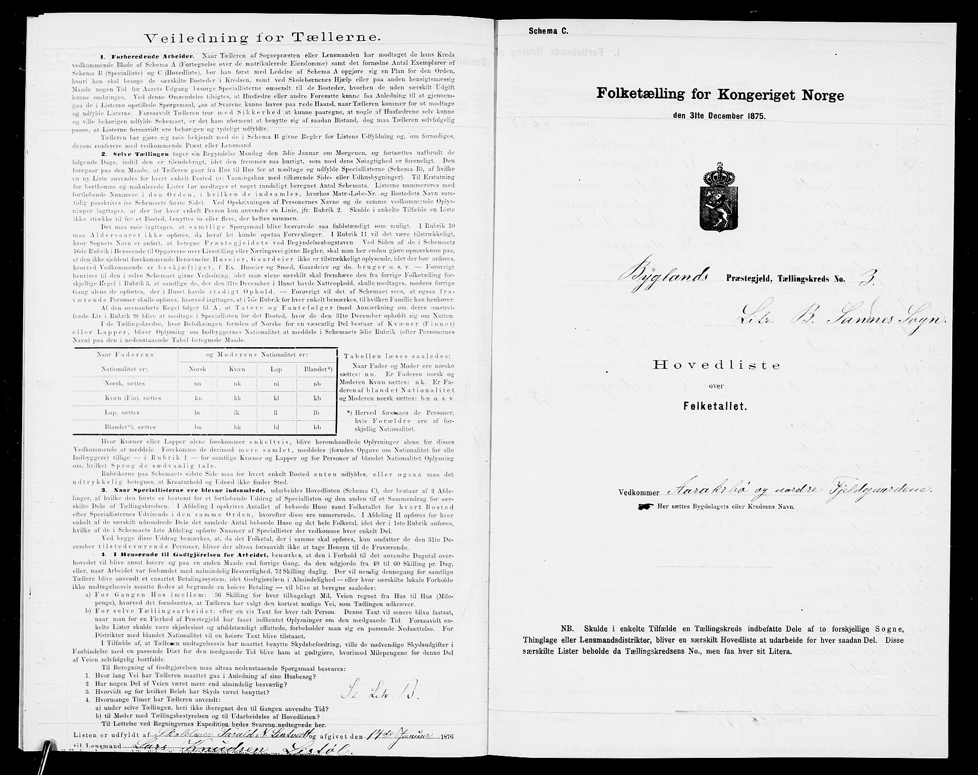 SAK, 1875 census for 0938P Bygland, 1875, p. 22