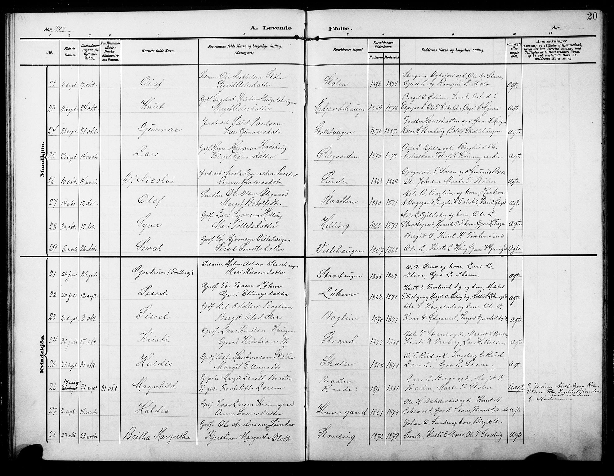 Ål kirkebøker, AV/SAKO-A-249/G/Ga/L0002: Parish register (copy) no. 2, 1904-1928, p. 20
