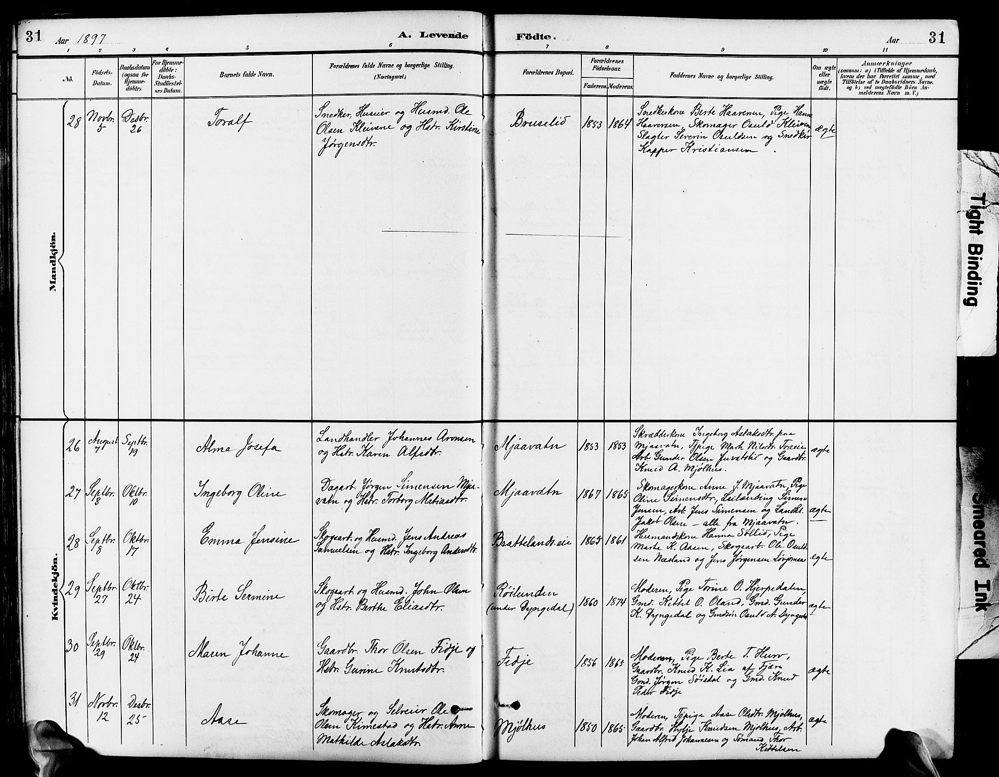 Froland sokneprestkontor, SAK/1111-0013/F/Fb/L0010: Parish register (copy) no. B 10, 1893-1920, p. 31