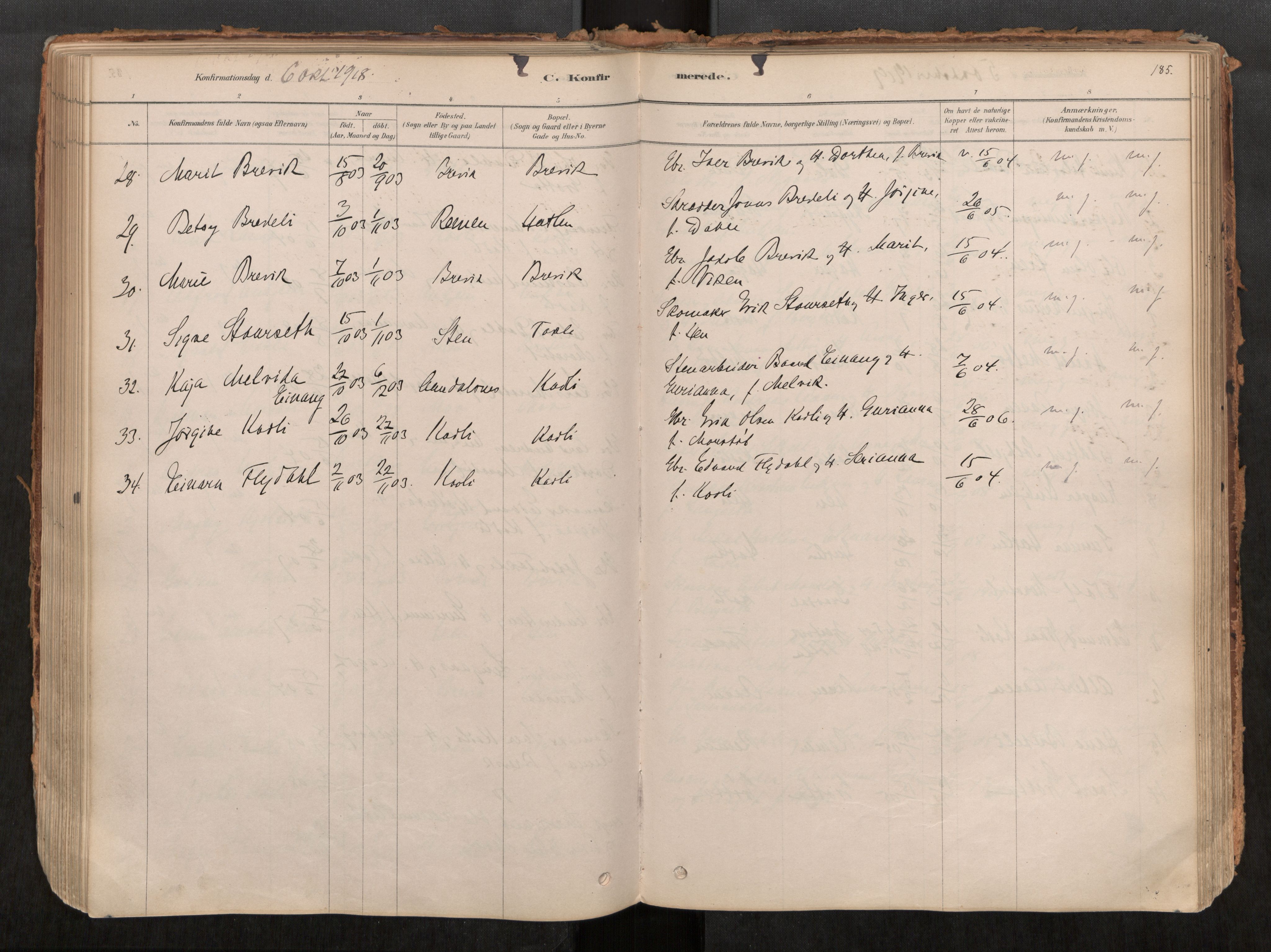 Ministerialprotokoller, klokkerbøker og fødselsregistre - Møre og Romsdal, AV/SAT-A-1454/545/L0594: Parish register (official) no. 545A03, 1878-1920, p. 185