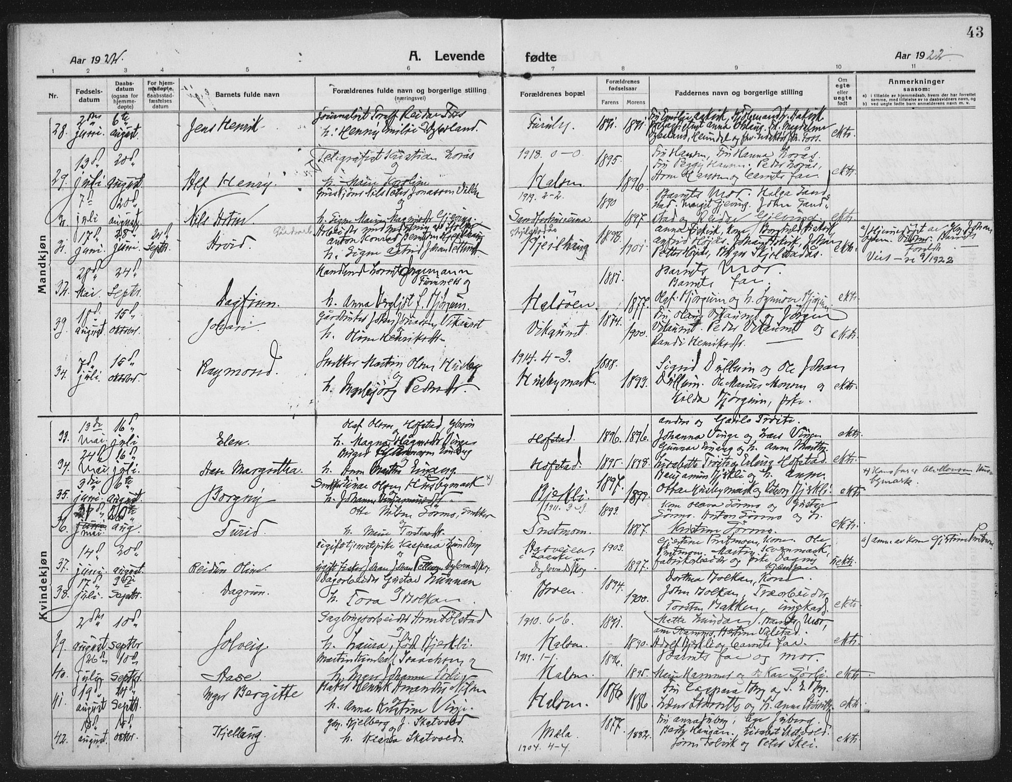 Ministerialprotokoller, klokkerbøker og fødselsregistre - Nord-Trøndelag, AV/SAT-A-1458/709/L0083: Parish register (official) no. 709A23, 1916-1928, p. 43