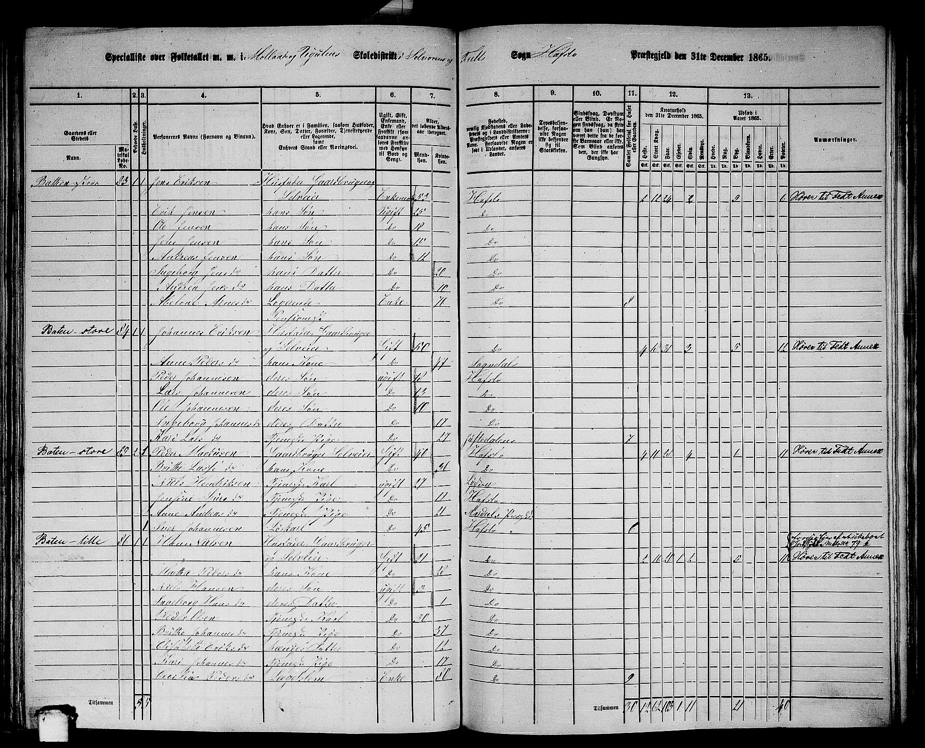 RA, 1865 census for Hafslo, 1865, p. 102