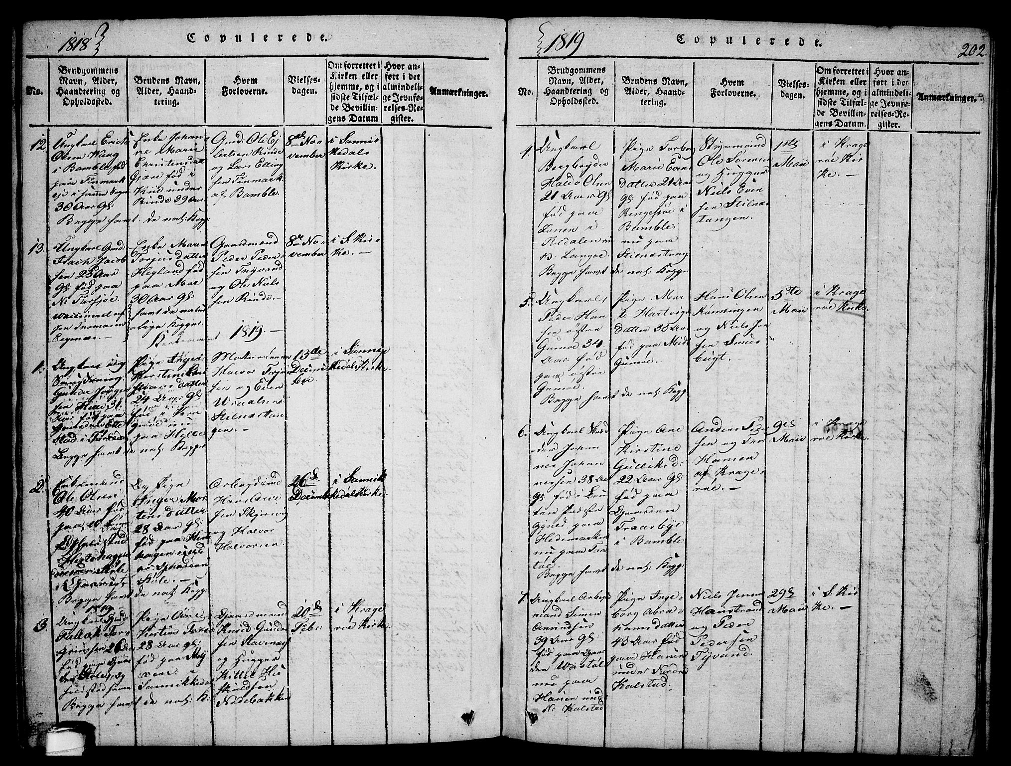 Sannidal kirkebøker, SAKO/A-296/F/Fa/L0004: Parish register (official) no. 4, 1814-1829, p. 202