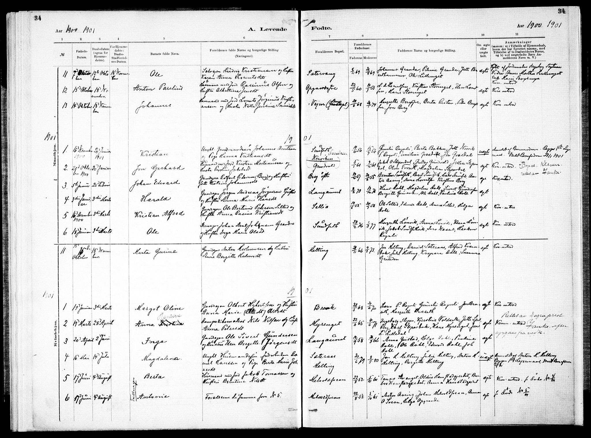 Ministerialprotokoller, klokkerbøker og fødselsregistre - Nord-Trøndelag, SAT/A-1458/733/L0325: Parish register (official) no. 733A04, 1884-1908, p. 34