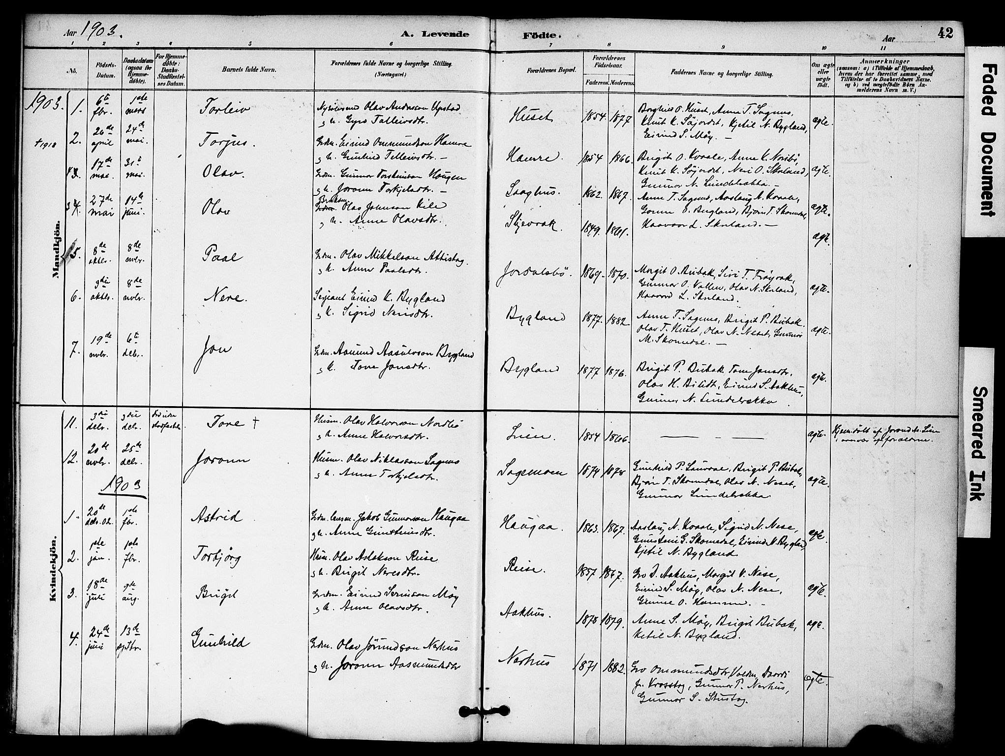 Bygland sokneprestkontor, SAK/1111-0006/F/Fa/Fab/L0007: Parish register (official) no. A 7, 1885-1909, p. 42