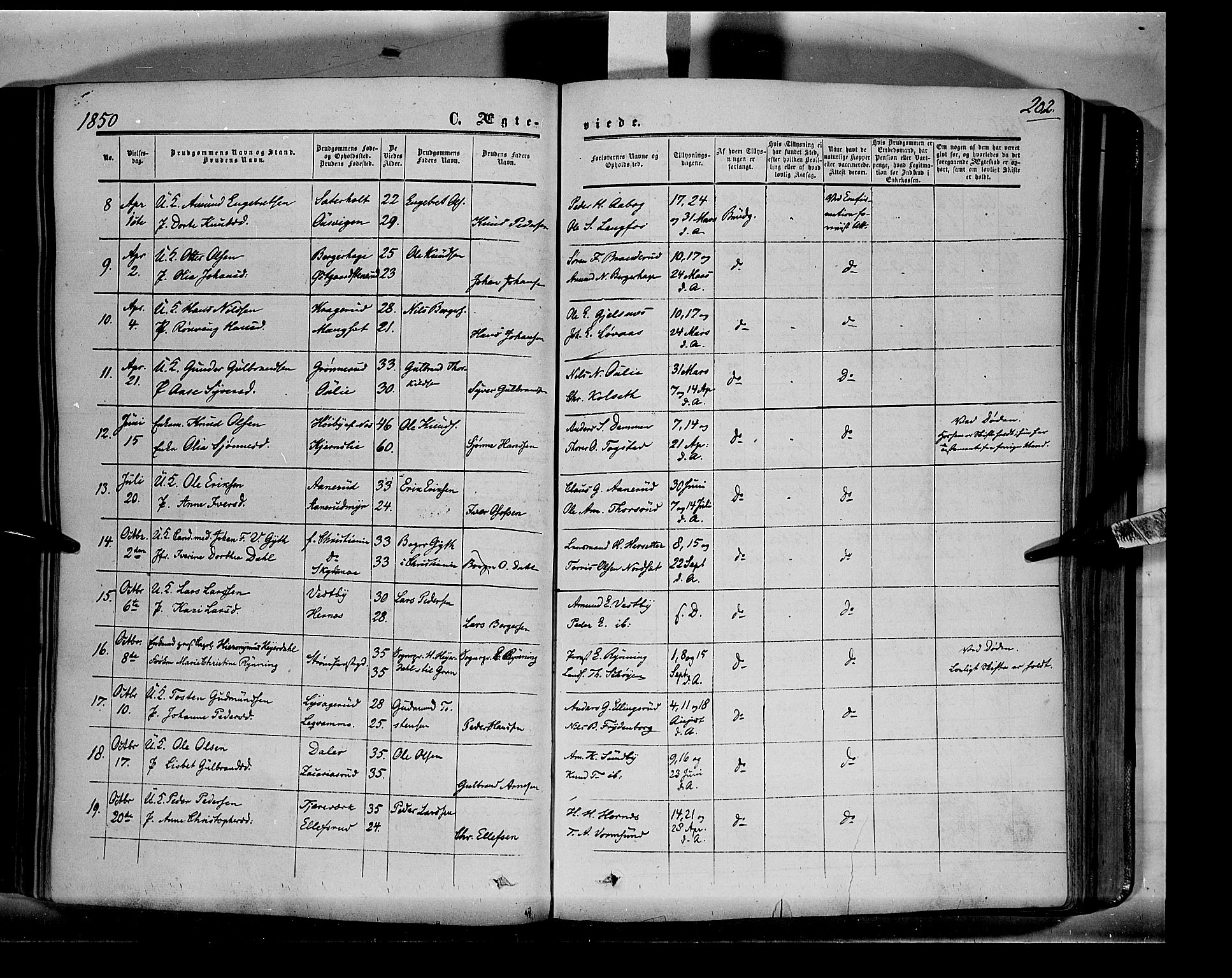 Sør-Odal prestekontor, AV/SAH-PREST-030/H/Ha/Haa/L0001: Parish register (official) no. 1, 1849-1859, p. 202