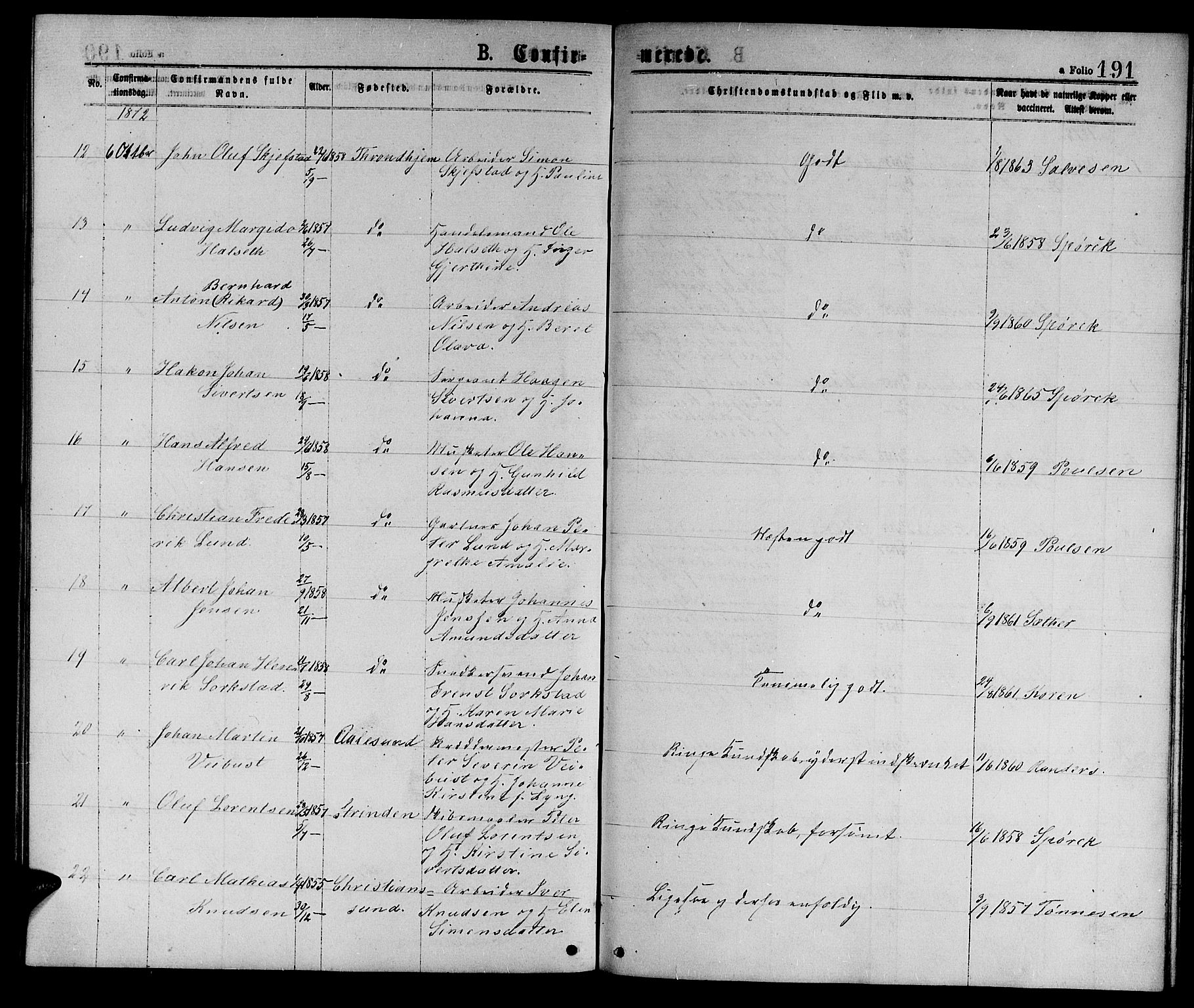 Ministerialprotokoller, klokkerbøker og fødselsregistre - Sør-Trøndelag, AV/SAT-A-1456/601/L0088: Parish register (copy) no. 601C06, 1870-1878, p. 191