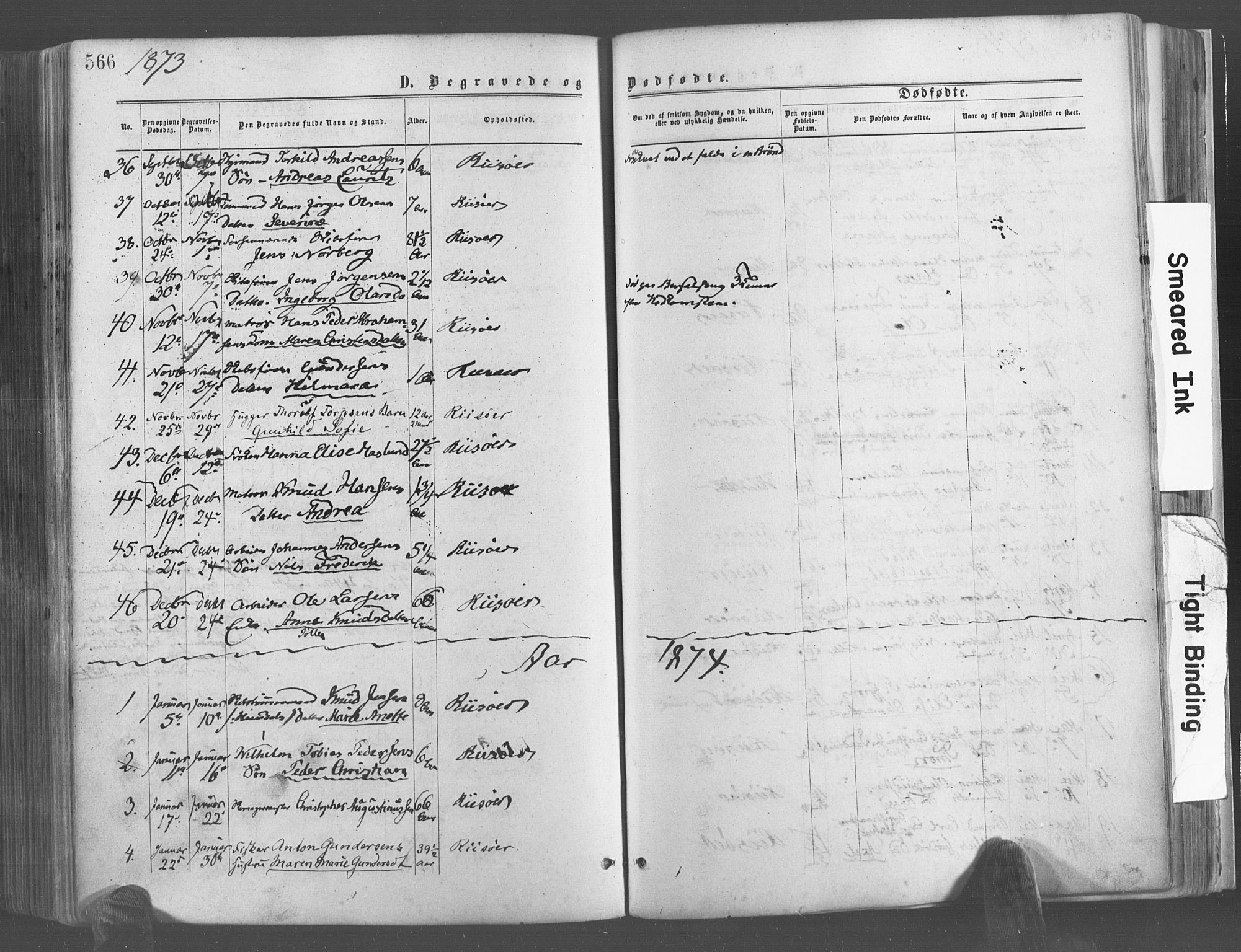 Risør sokneprestkontor, SAK/1111-0035/F/Fa/L0004: Parish register (official) no. A 4, 1865-1882, p. 566